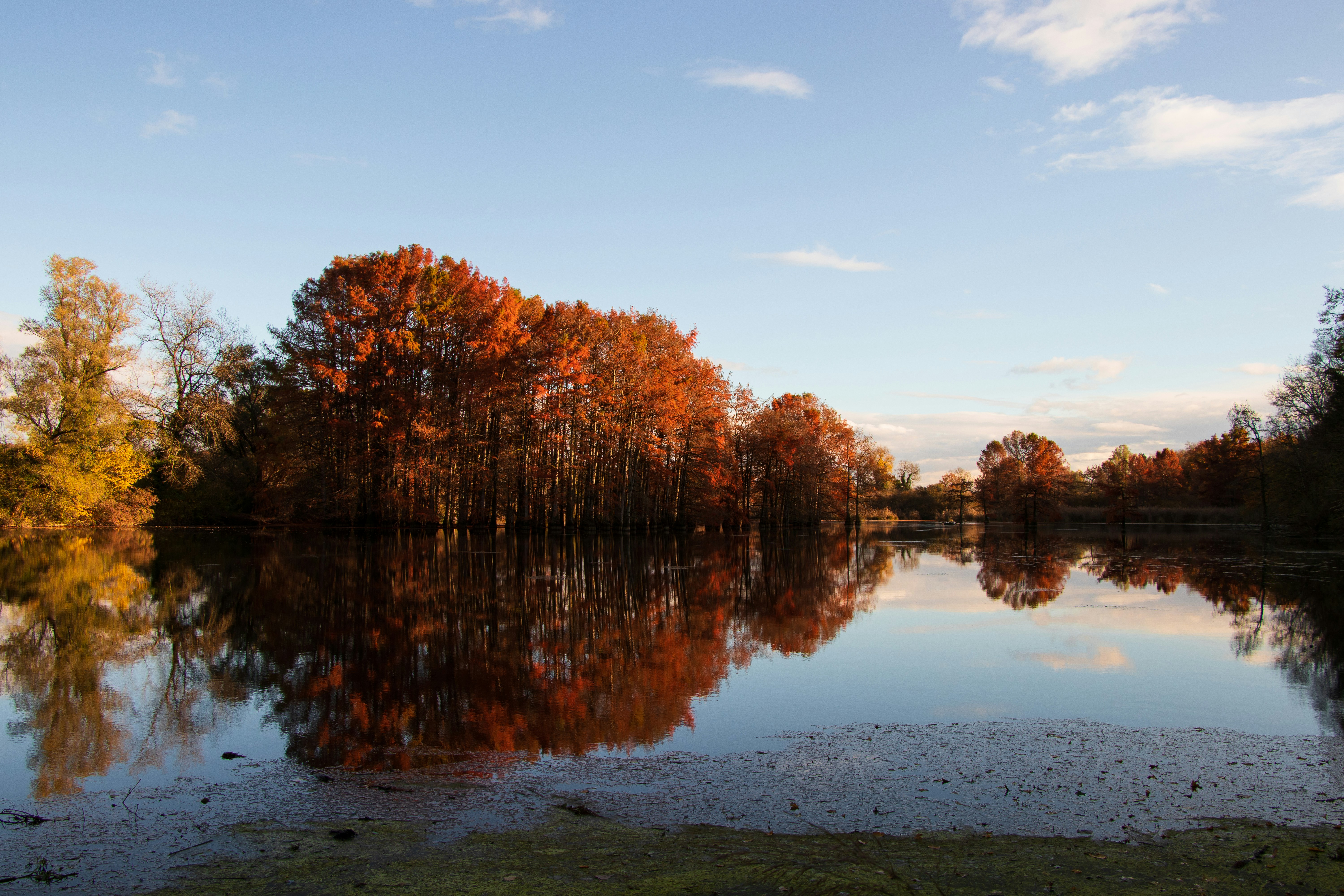 Photo by alix_guerin