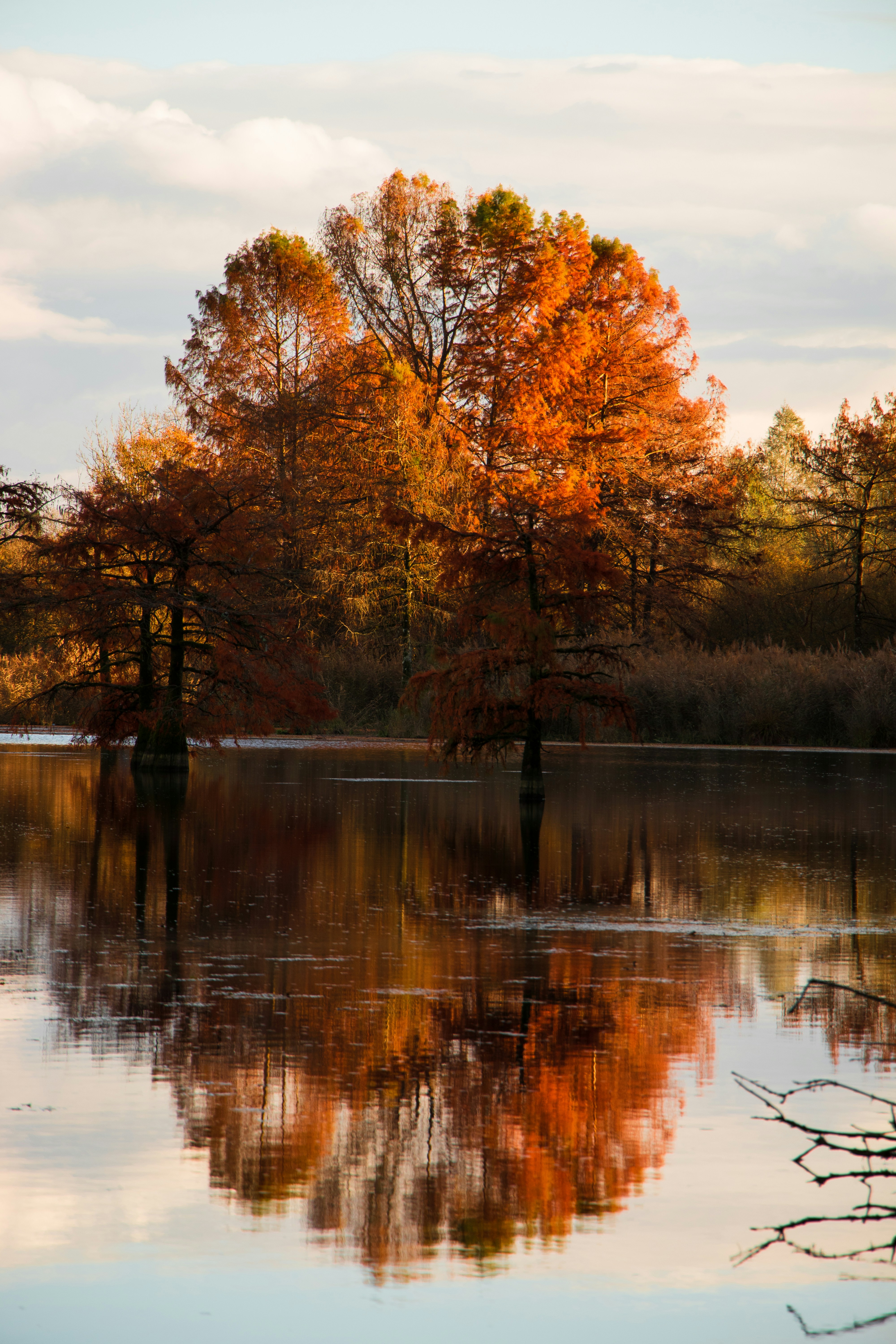 Photo by alix_guerin