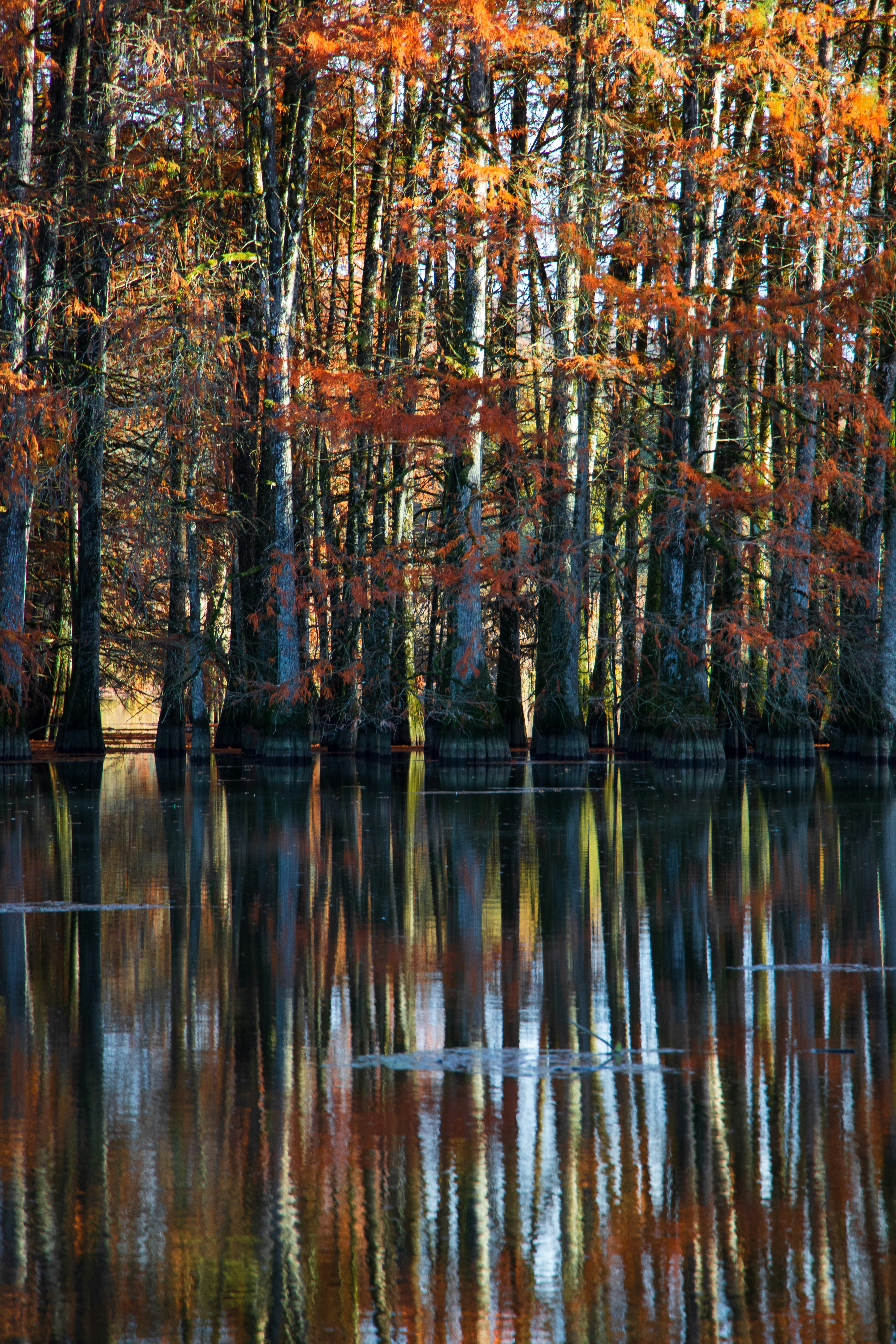 Photo by alix_guerin