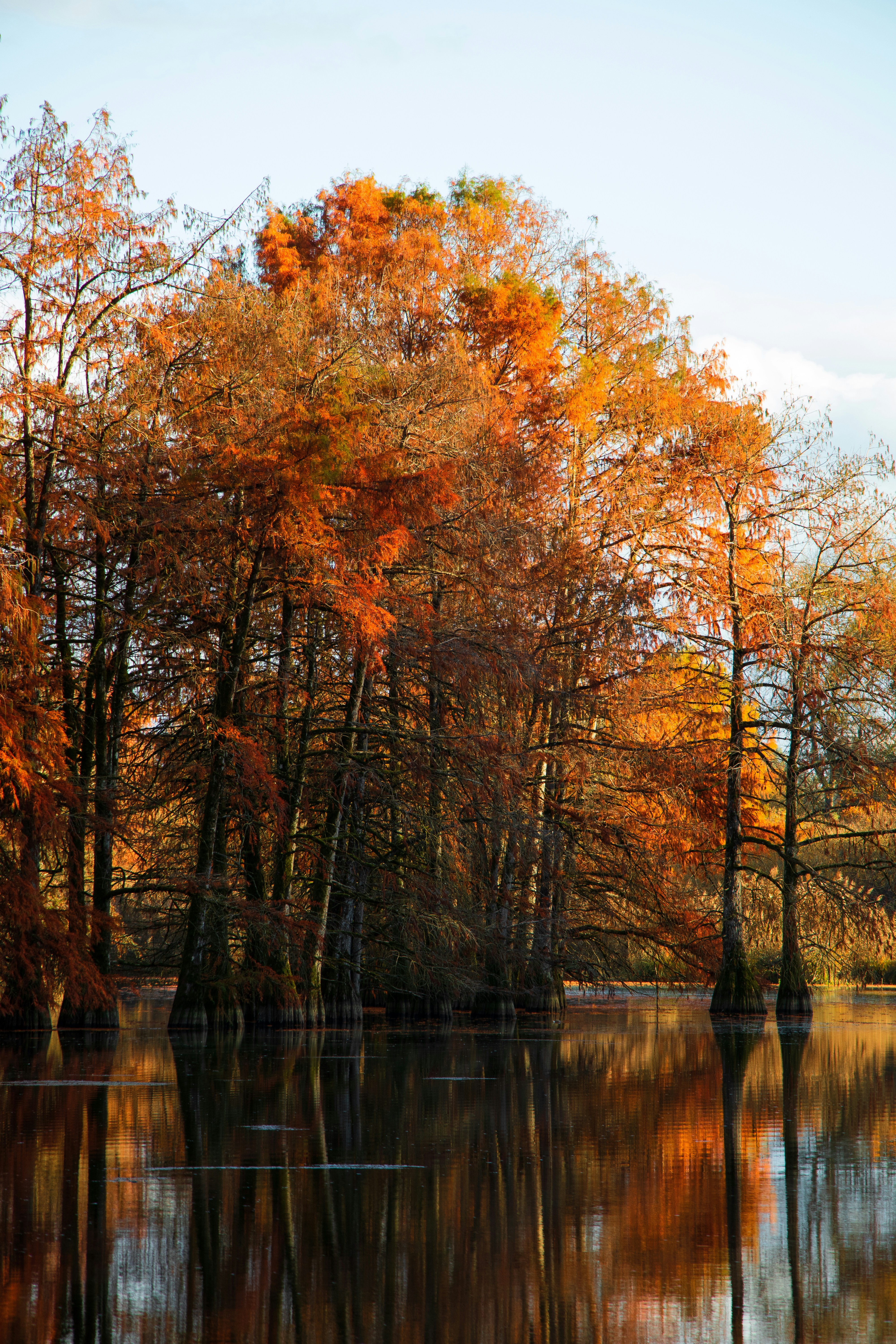 Photo by alix_guerin