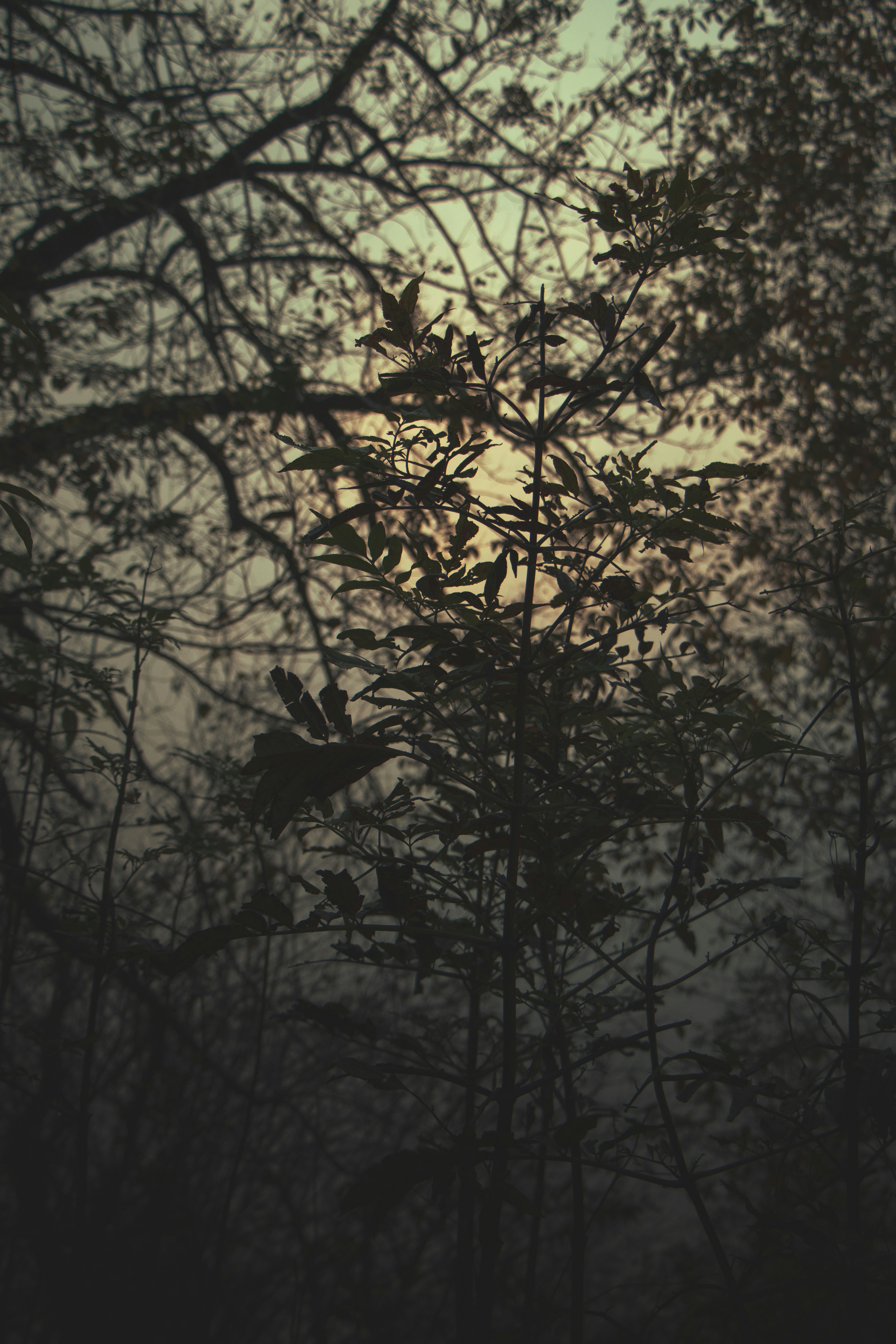 Photo by mahdibafande