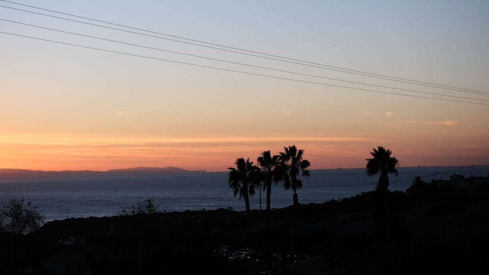 the sun is setting over the ocean and palm trees