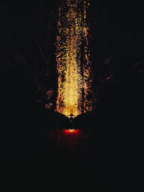 Night shot of an SSV with headlights illuminating a forest path.