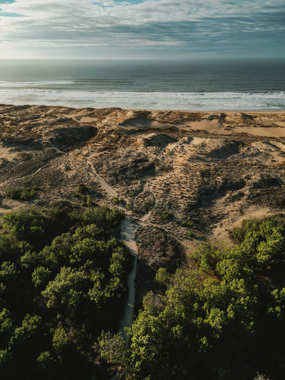 una vista aérea de una playa con árboles y un cuerpo de agua