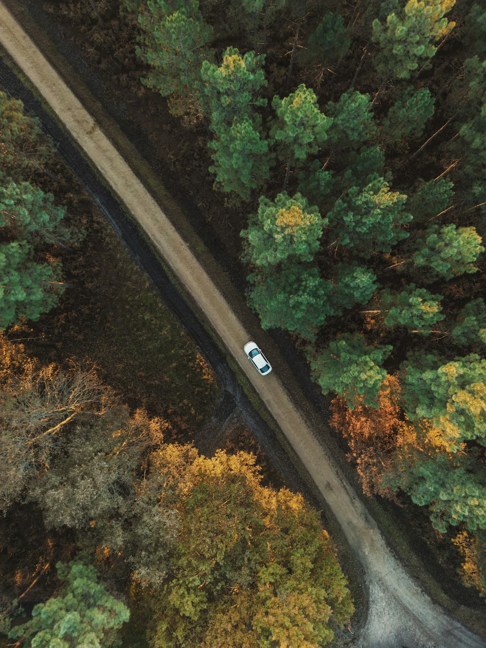 an aerial view of a car driving through a forest