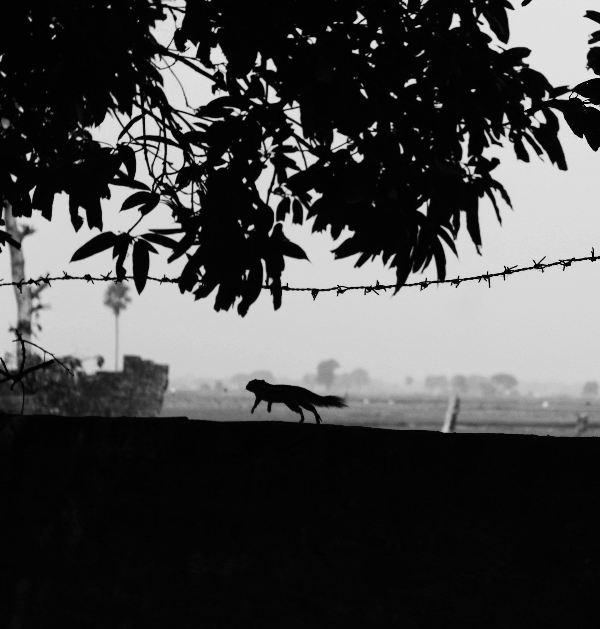 gray computer monitor