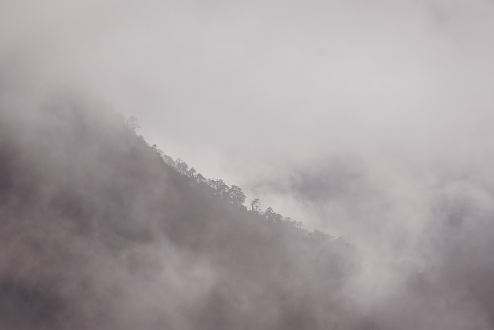 a mountain covered in fog with trees in the distance