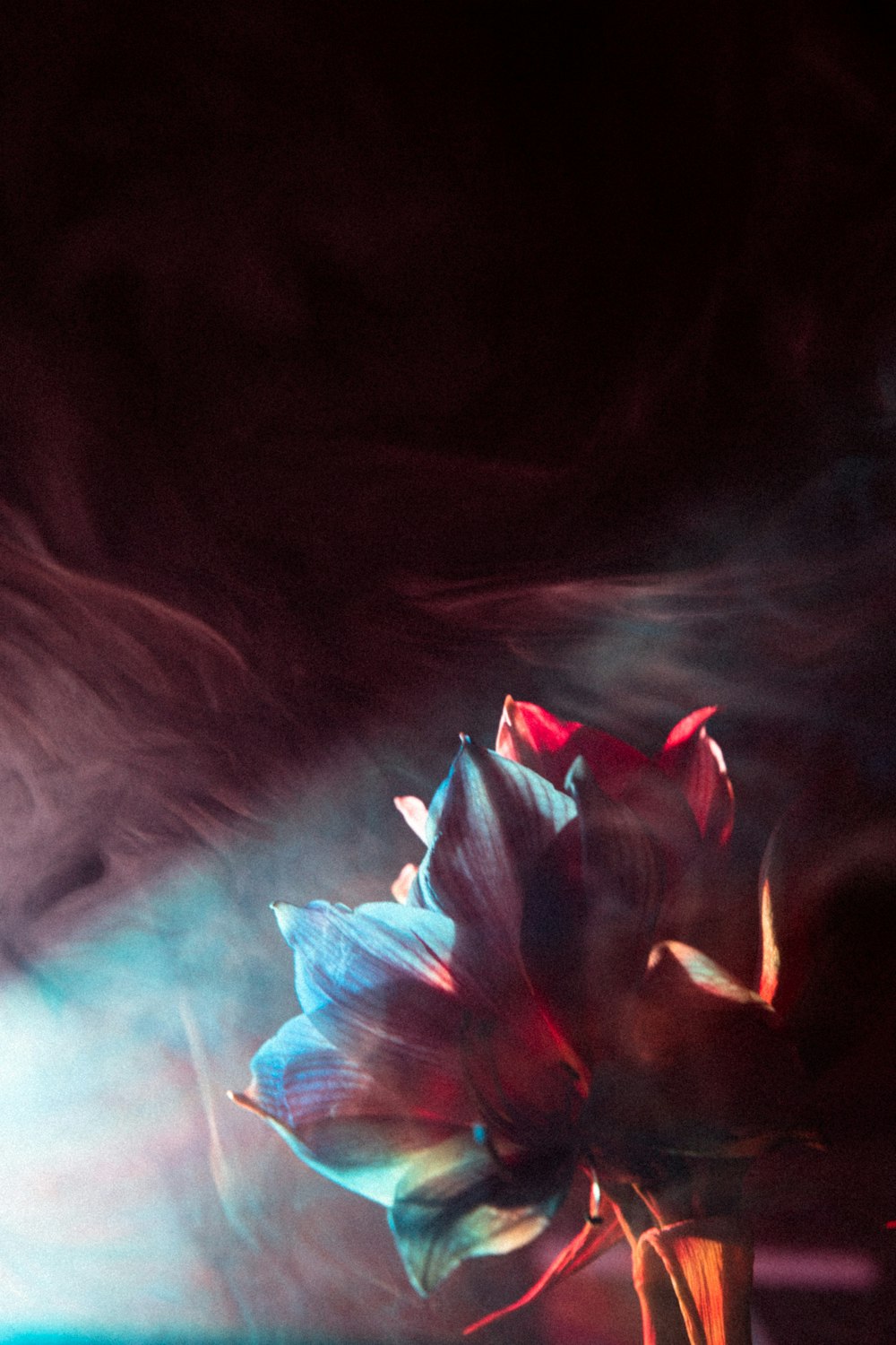 a vase filled with flowers on top of a table