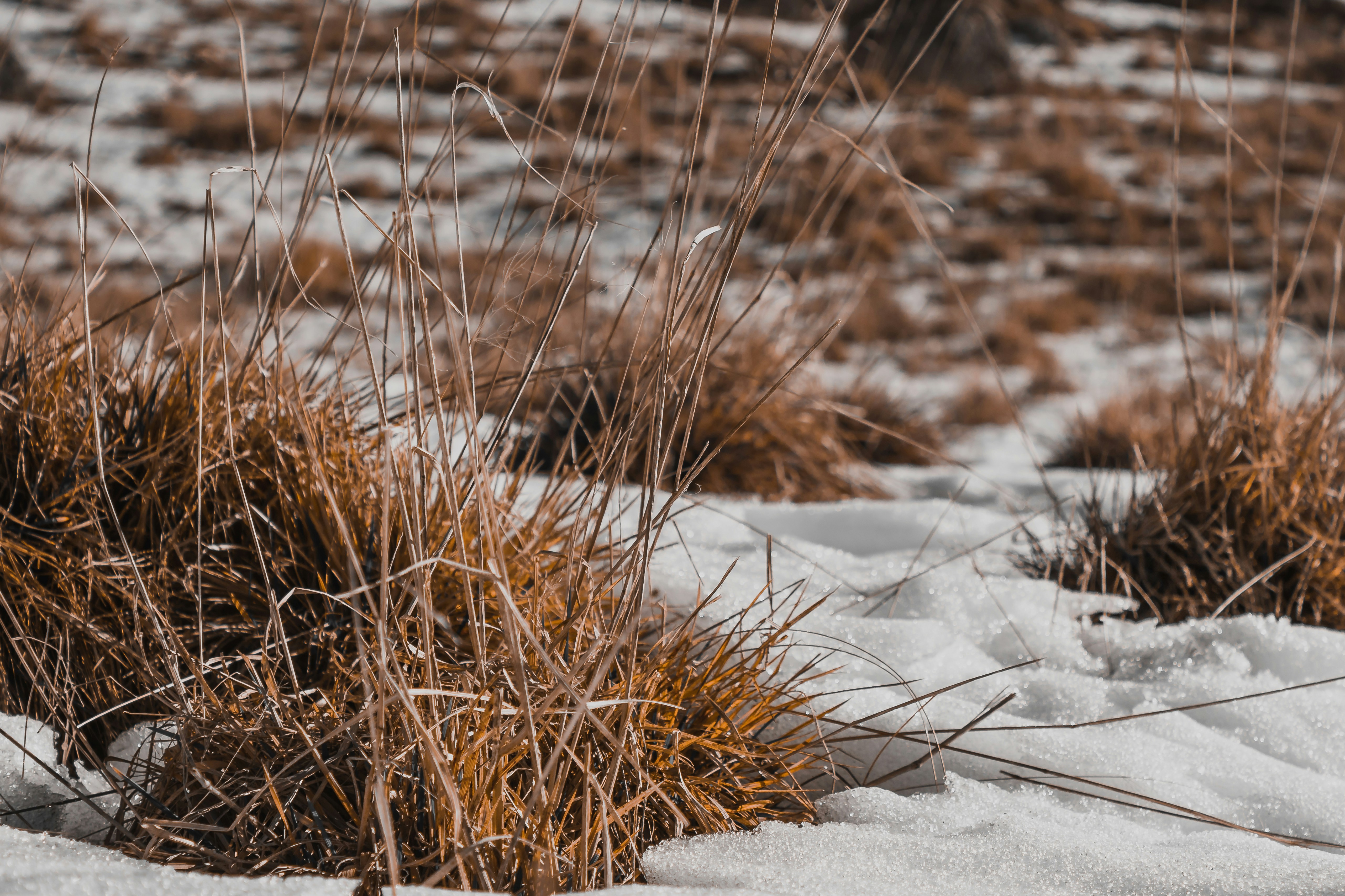 Photo by photosbyedoardo