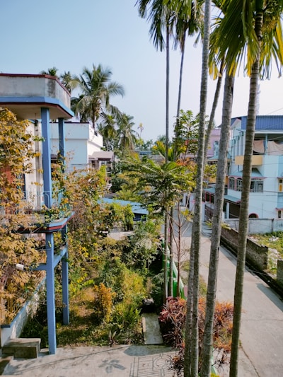 A vibrant residential urban parcel with houses and tree-lined streets.