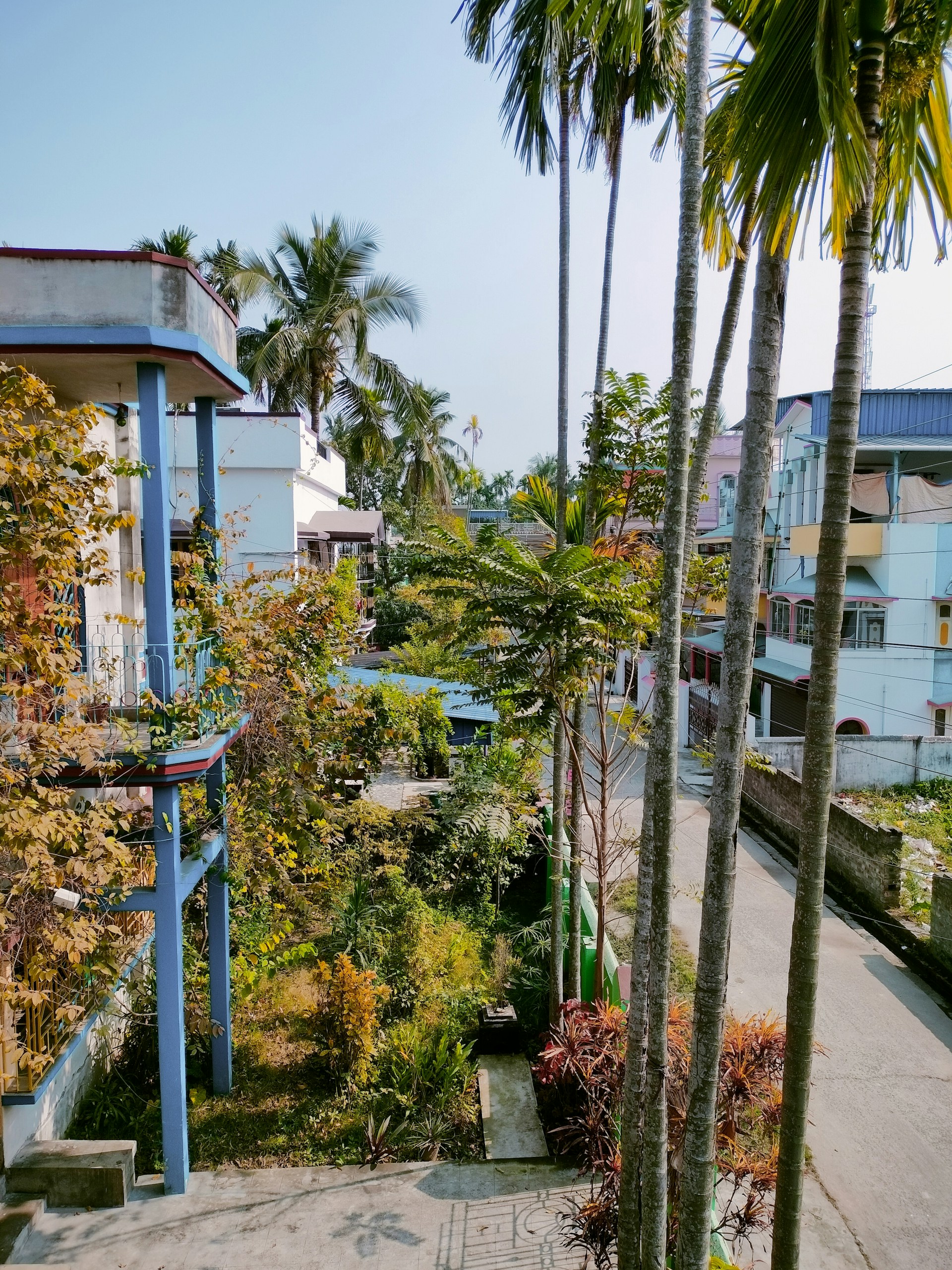 black and white bed linen