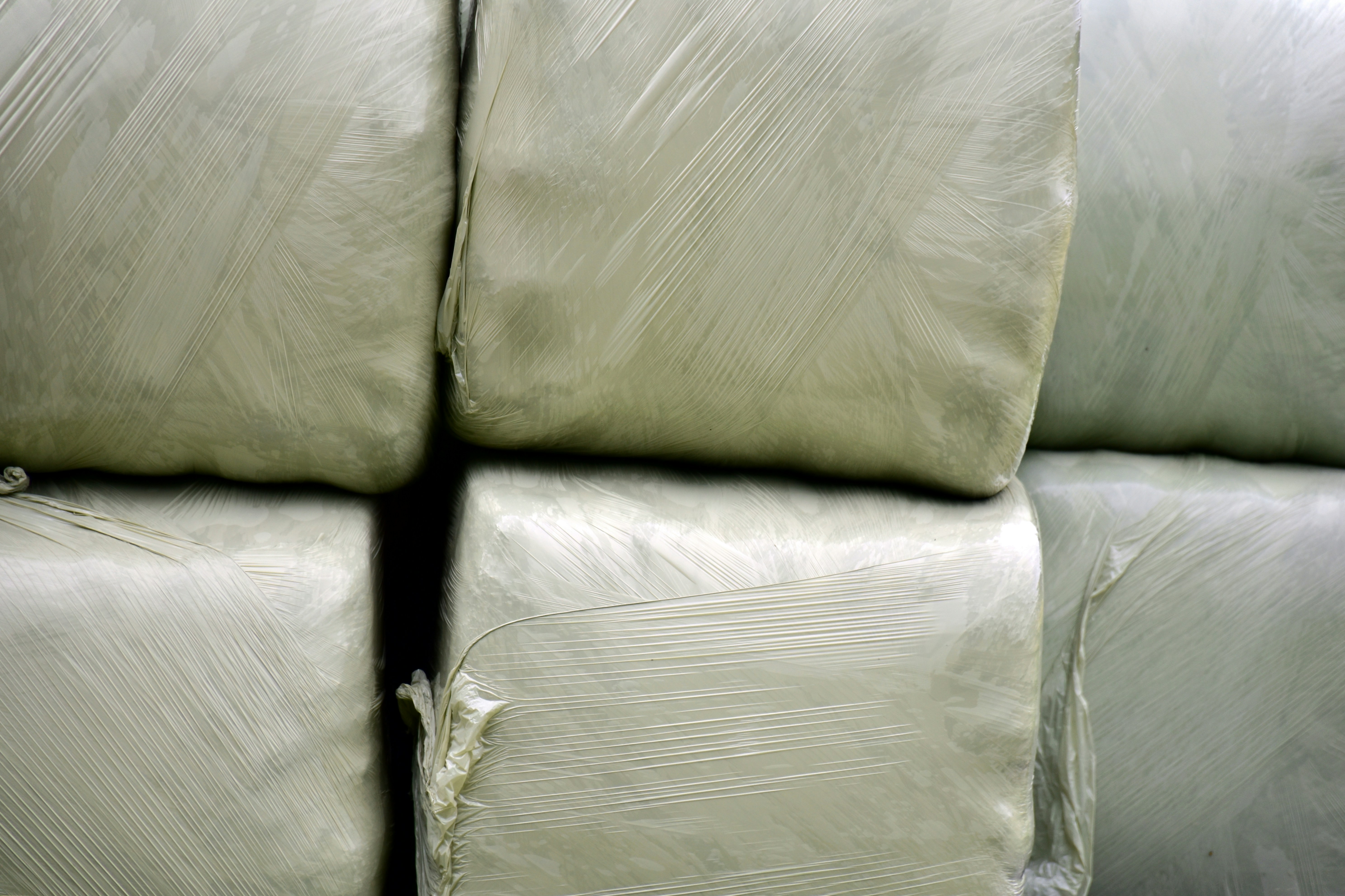 Resumo/organização