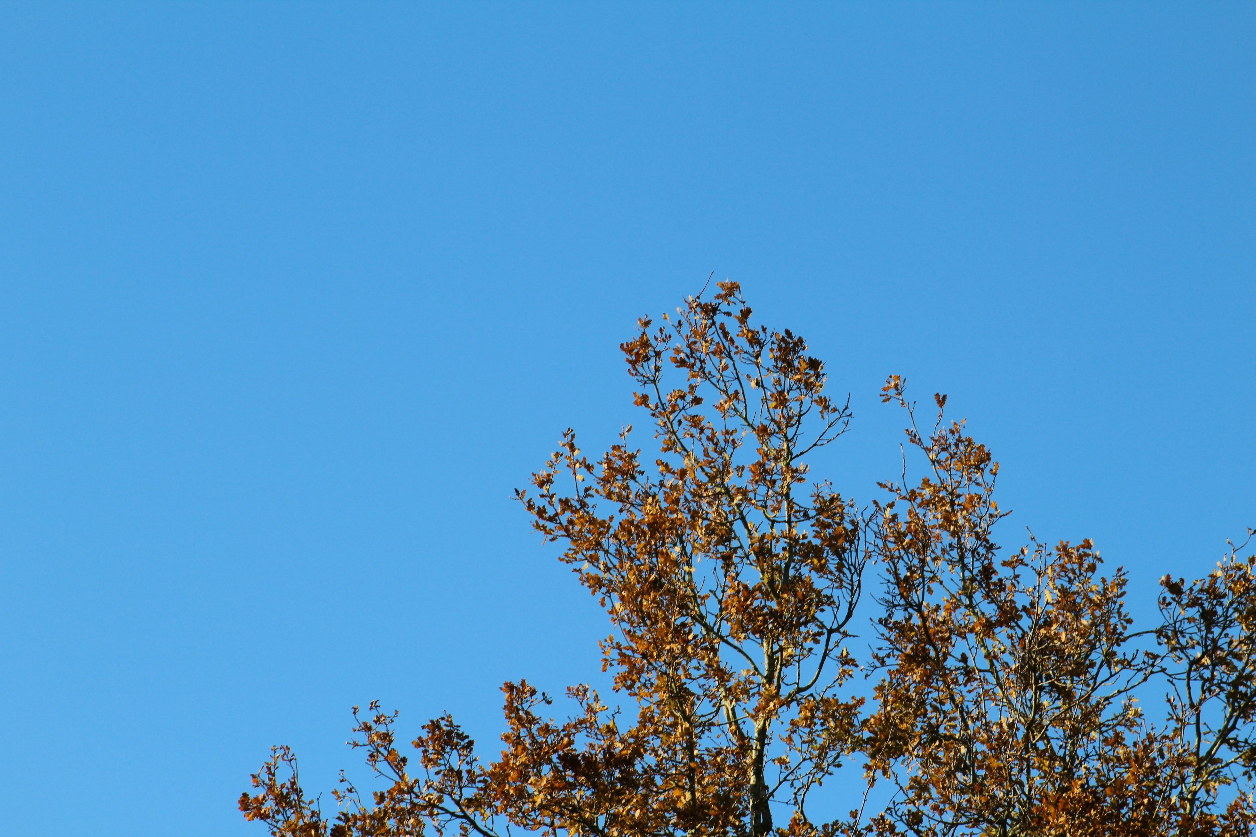 Photo by julia_fiander