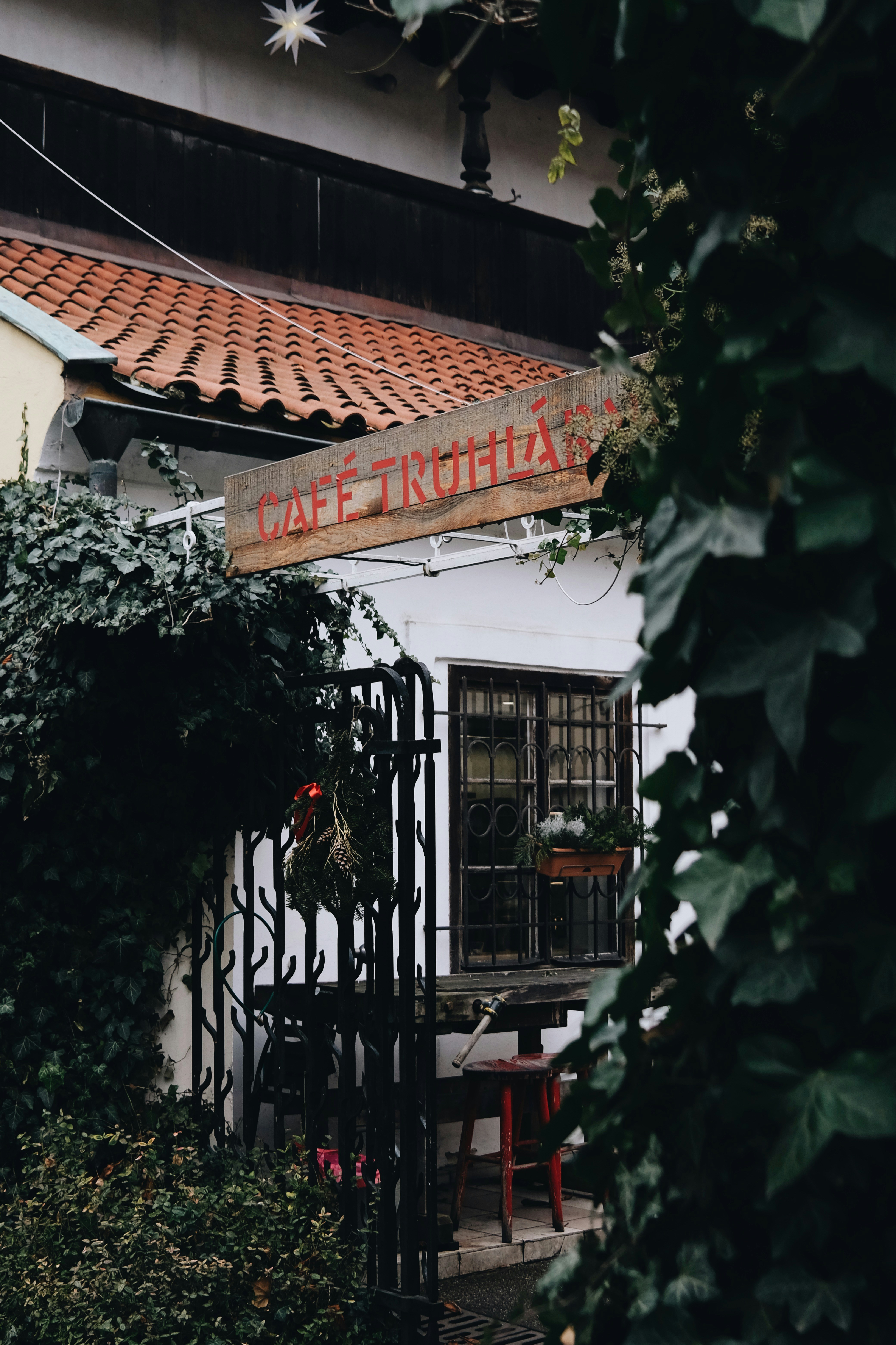 Photo by cherenkevich