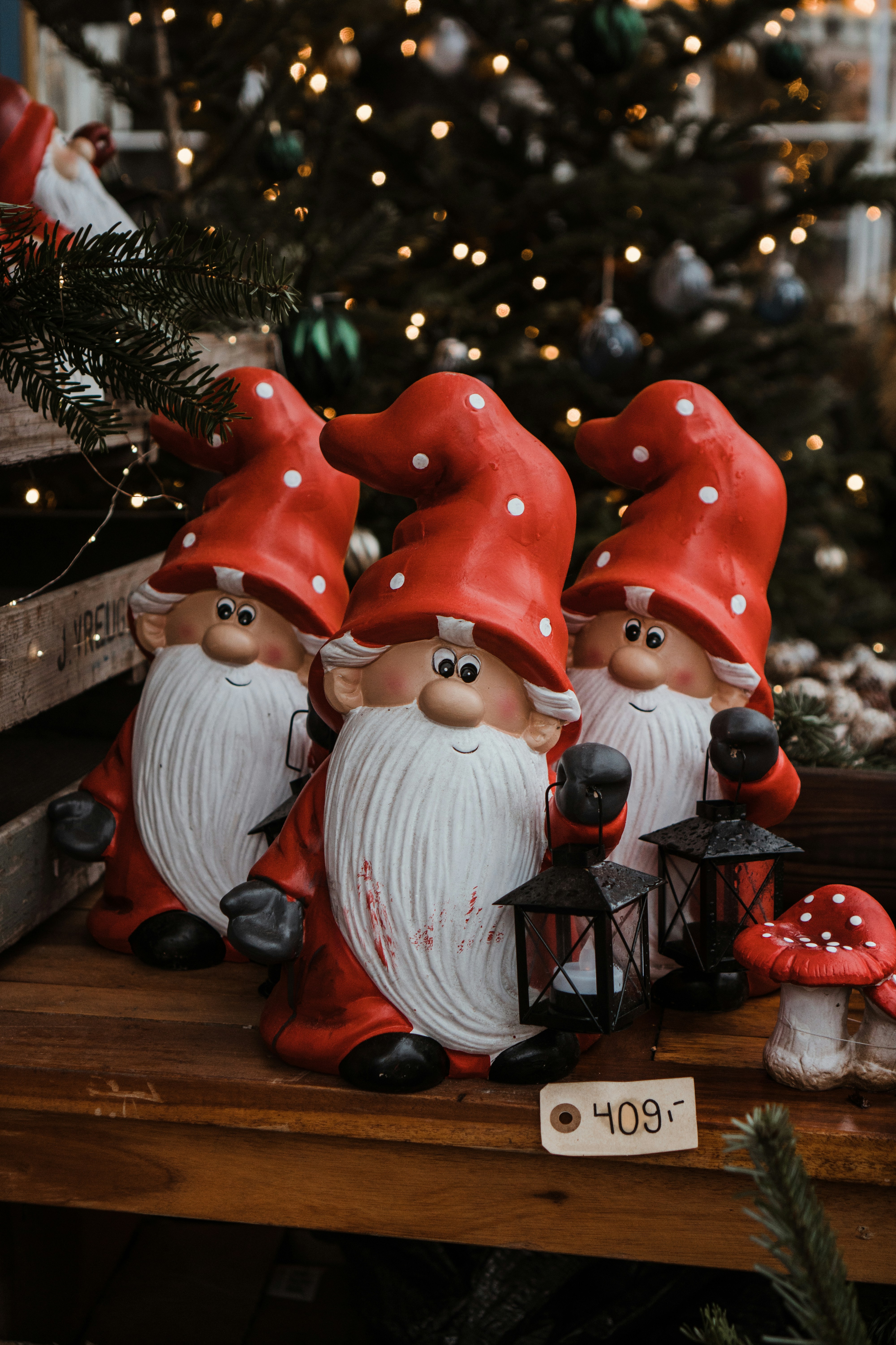 Photo by p_kuzovkova