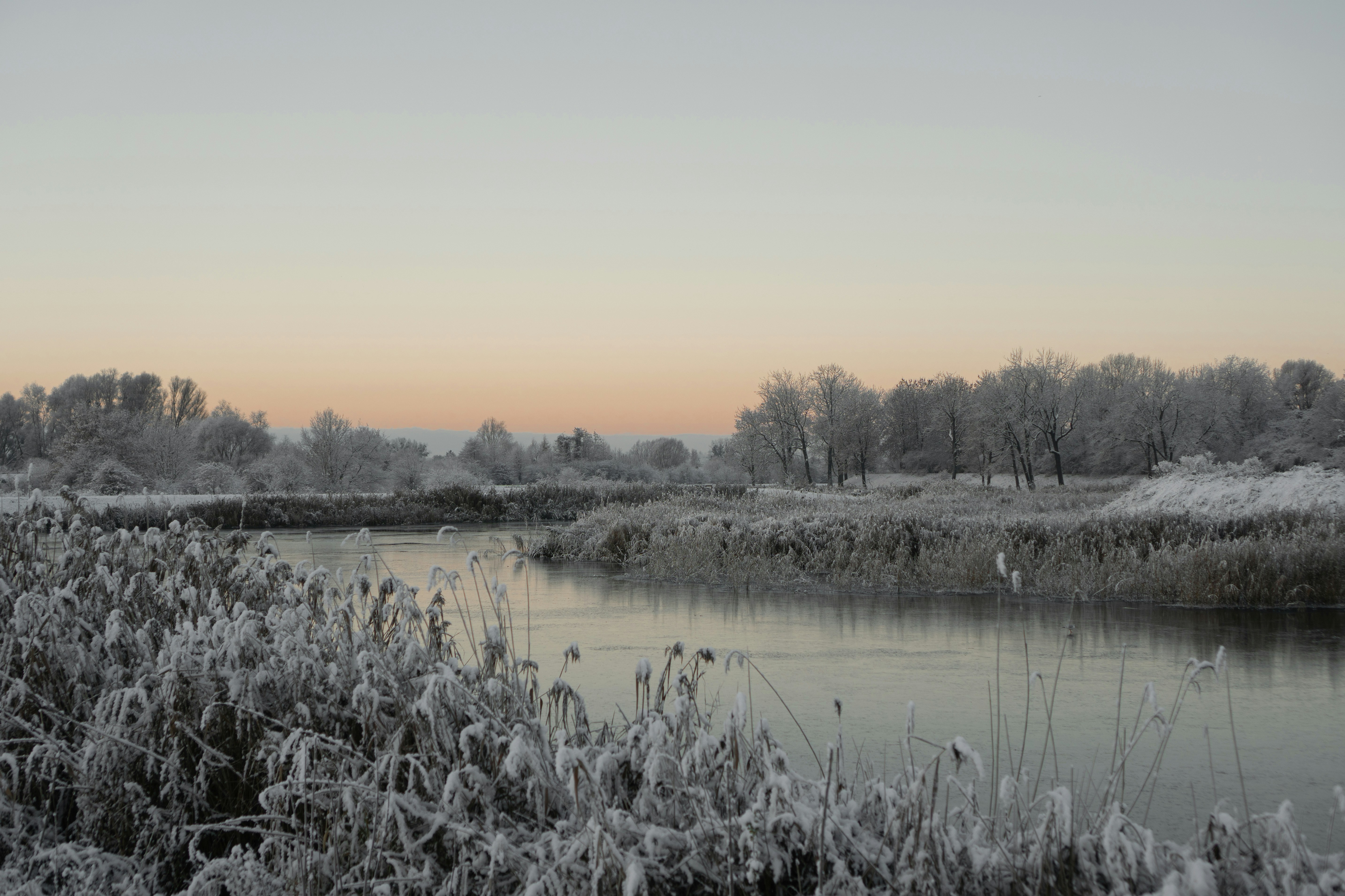 Photo by p_kuzovkova