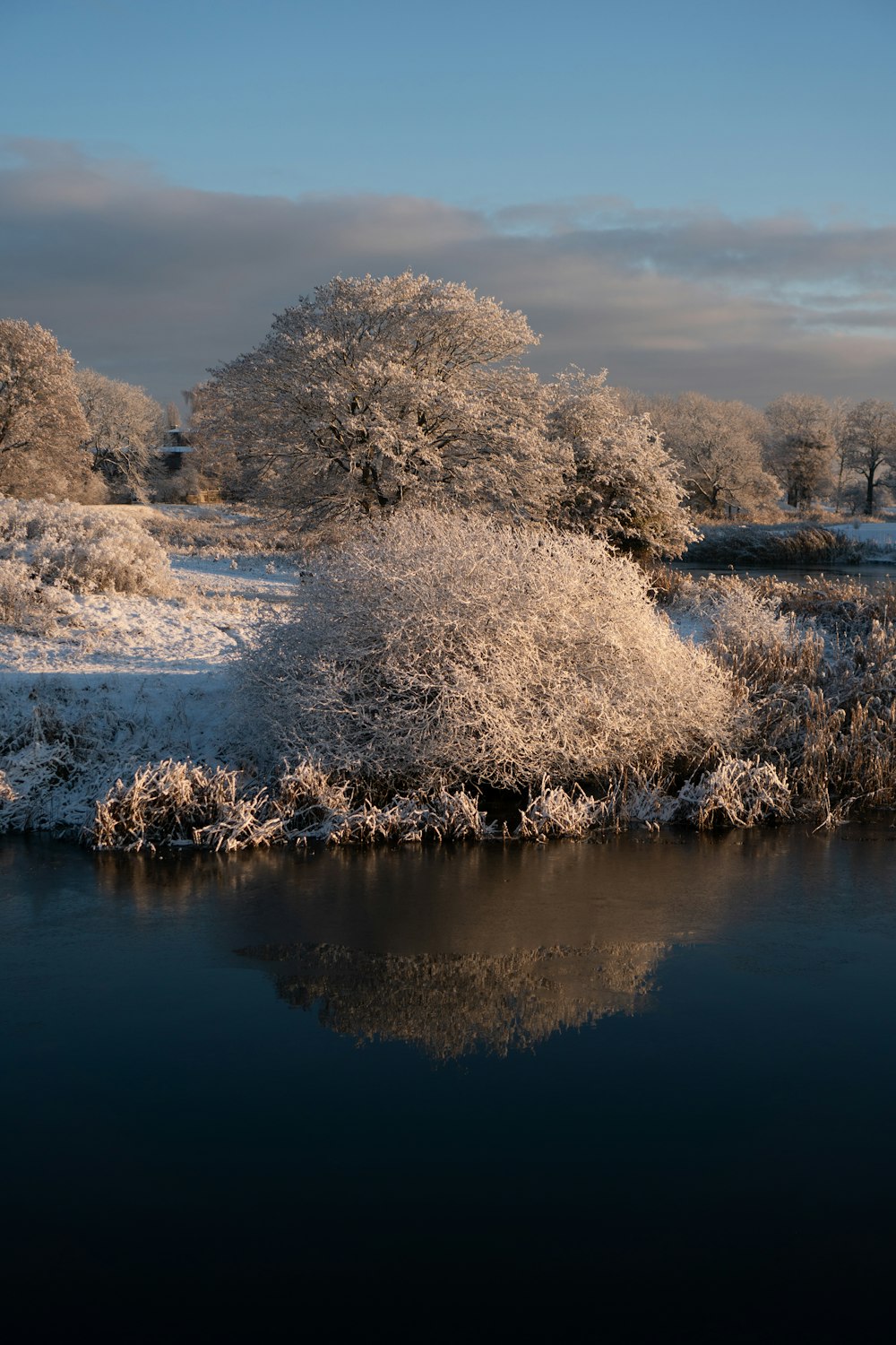 a body of water surrounded by snow covered trees