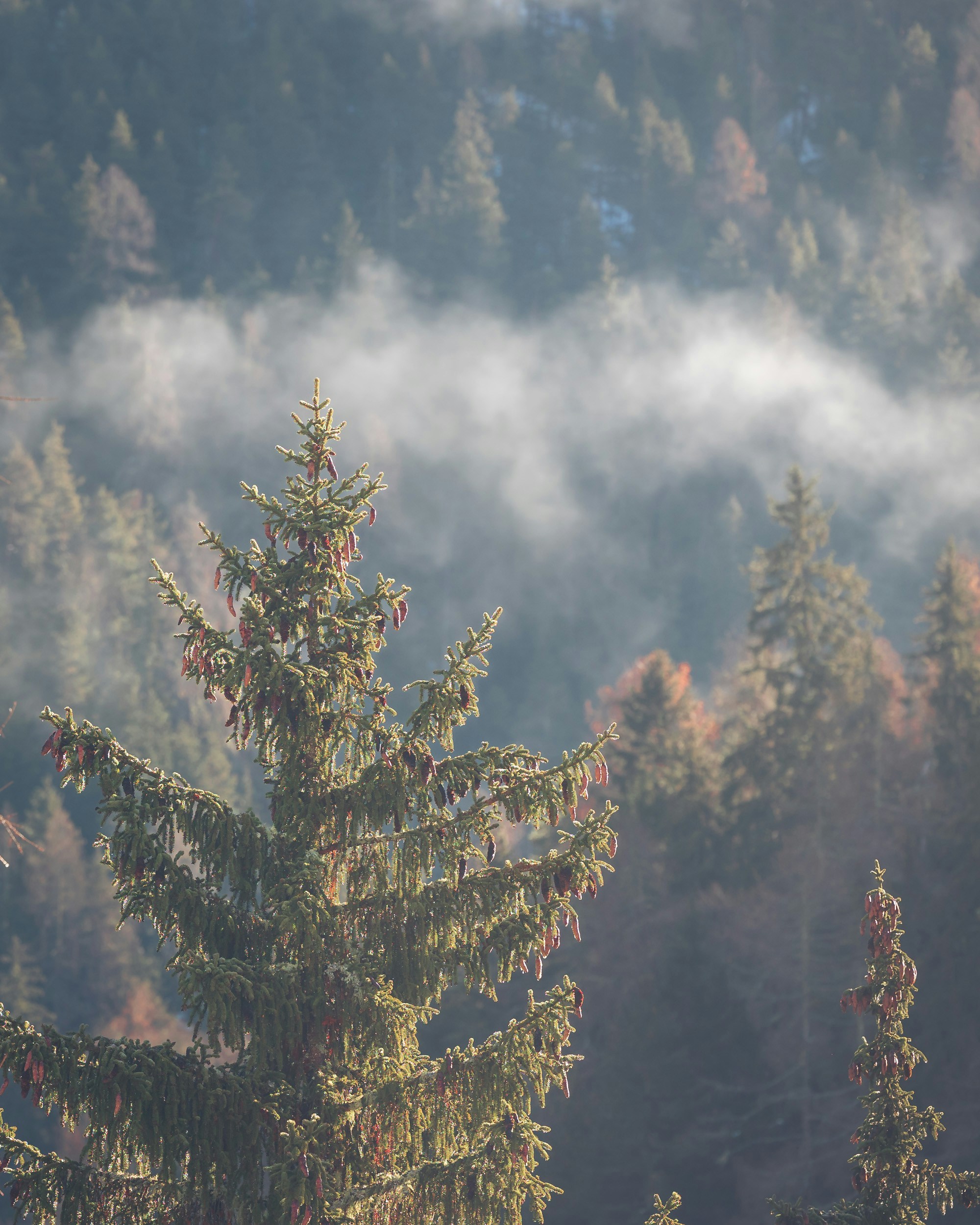 Photo by tomastrajan