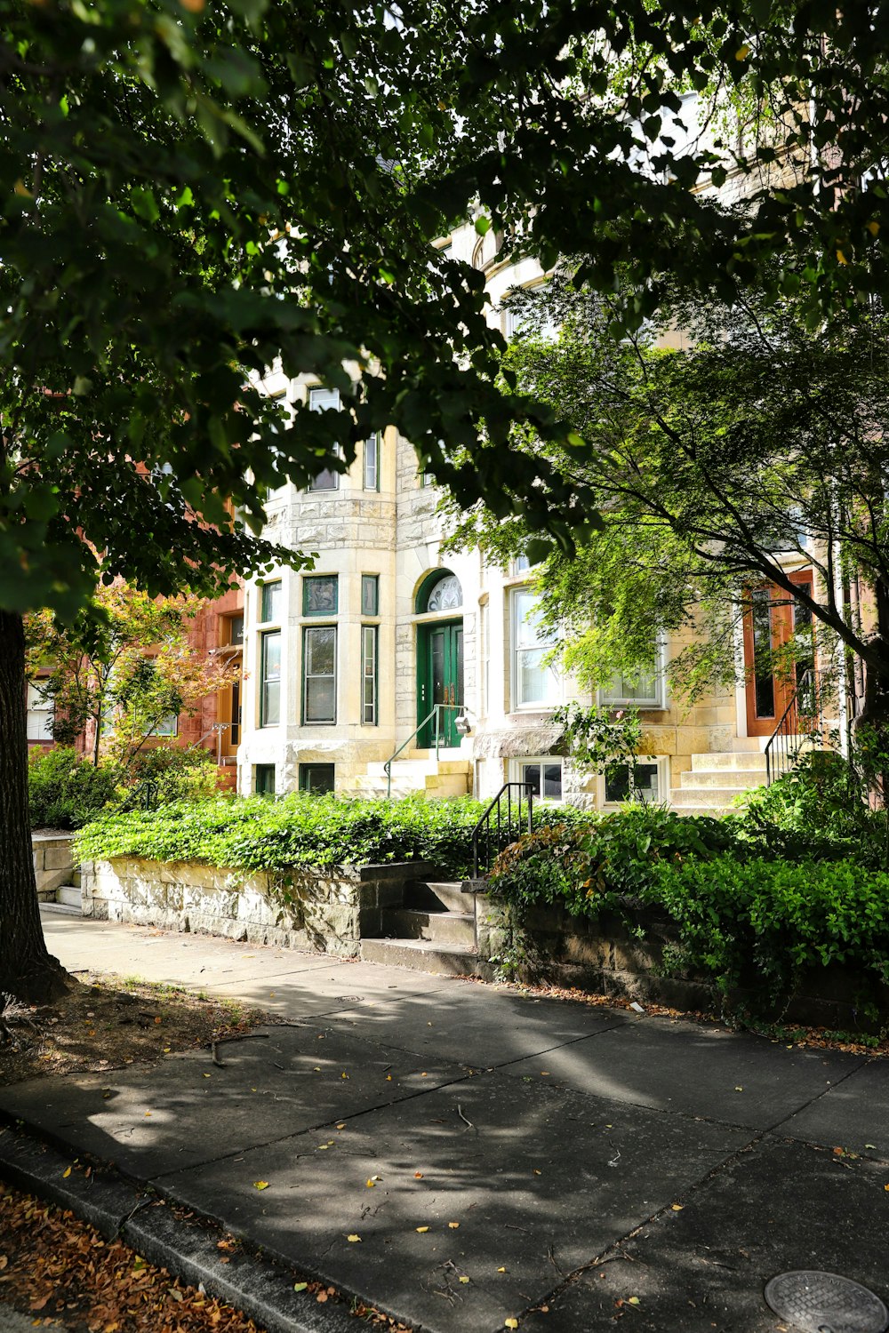 a building with a green door and a tree in front of it