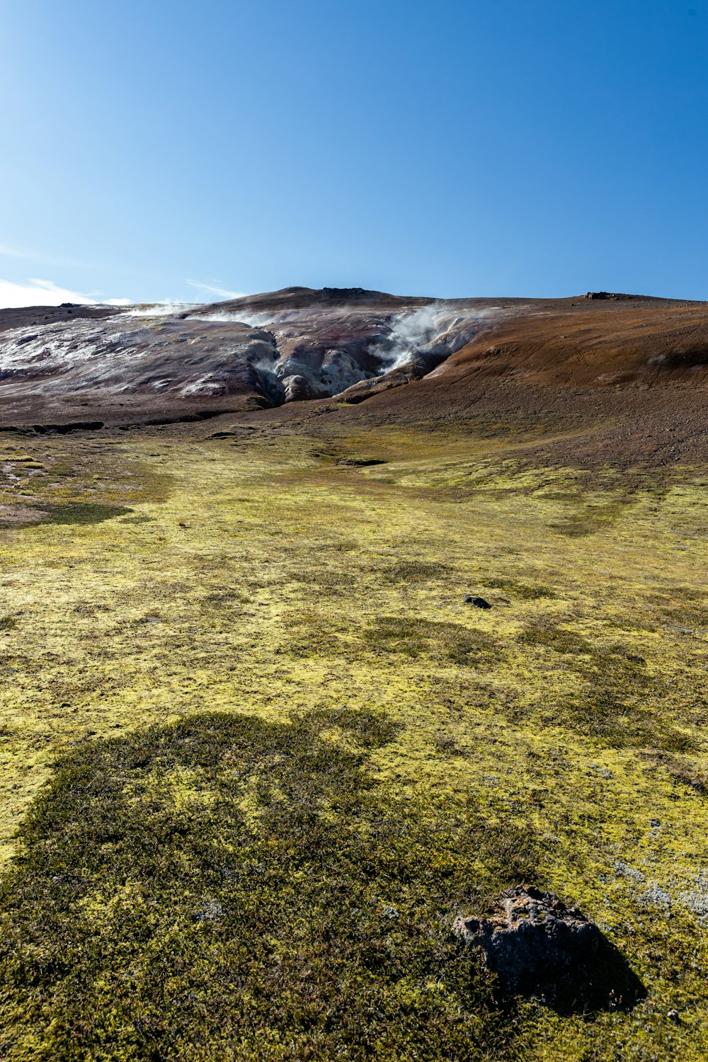 a grassy field with a hill in the background