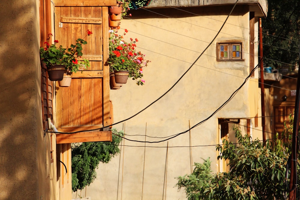 a building with a bunch of potted plants on the side of it