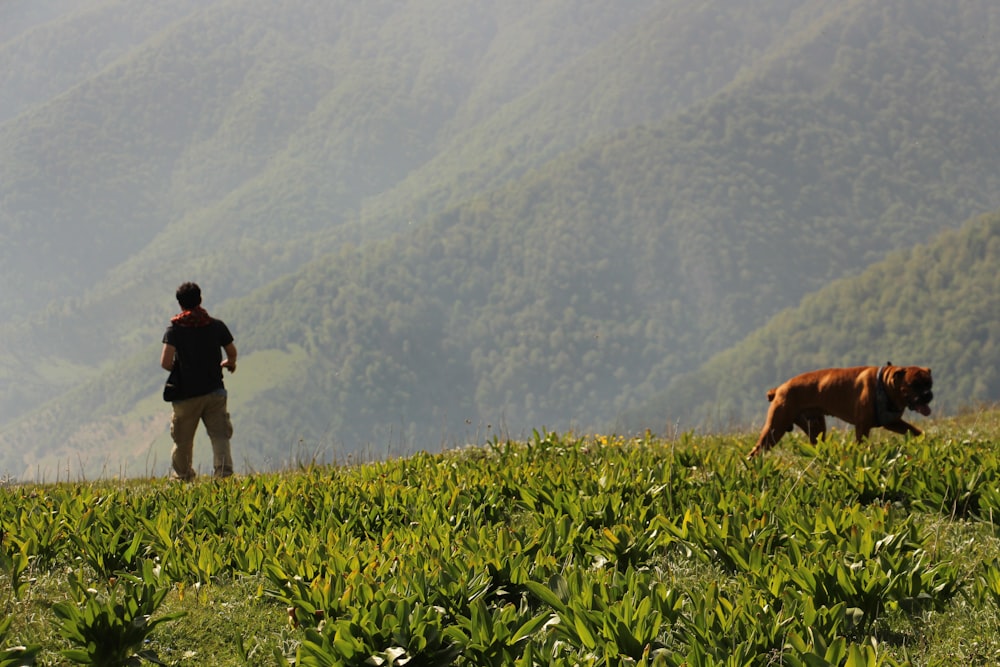 a man and a dog walking in a field