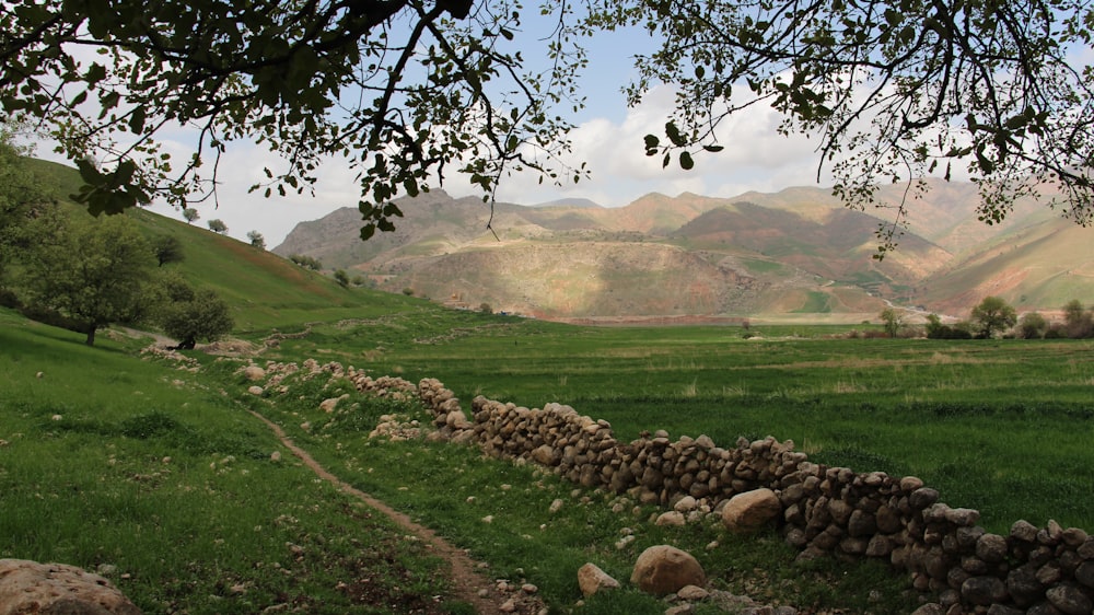 a grassy field with a stone wall and mountains in the background