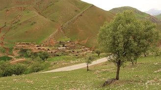 A picturesque rural landscape featuring a small village nestled among green hills. A winding road leads through the scene, bordered by vibrant trees and patches of grass. The earth-toned houses blend seamlessly with the natural surroundings, and the overall environment is serene and untouched.