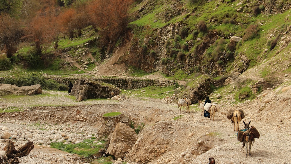 a group of people riding horses down a dirt road