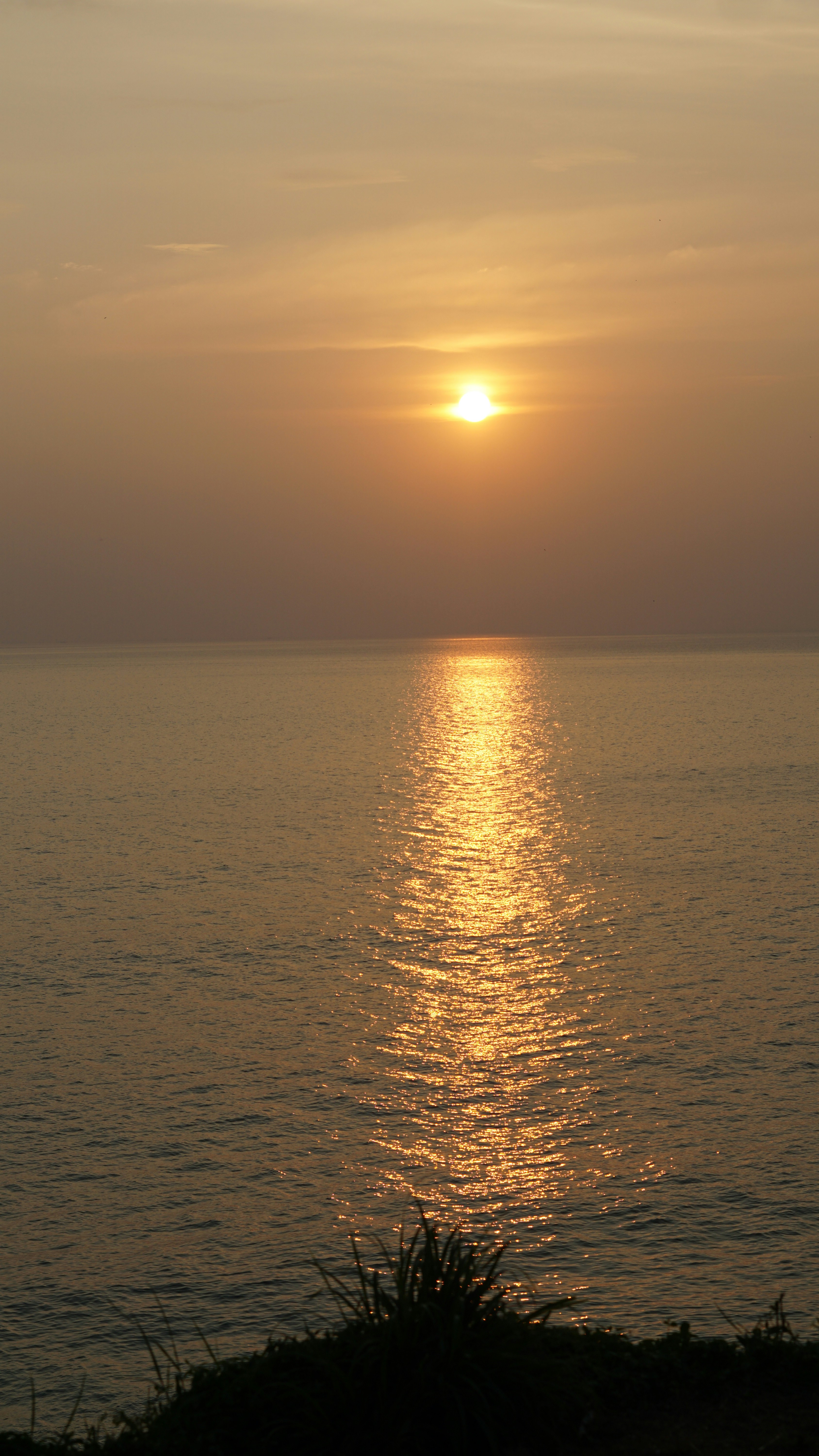 Photo by vickychinnaiyan