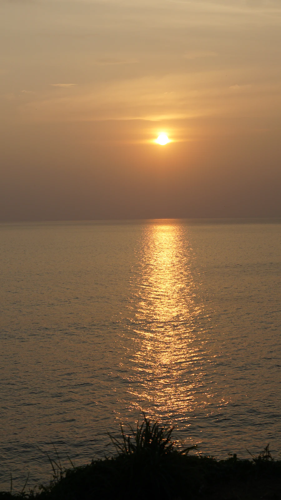 Varkala: a learn-to-surf week