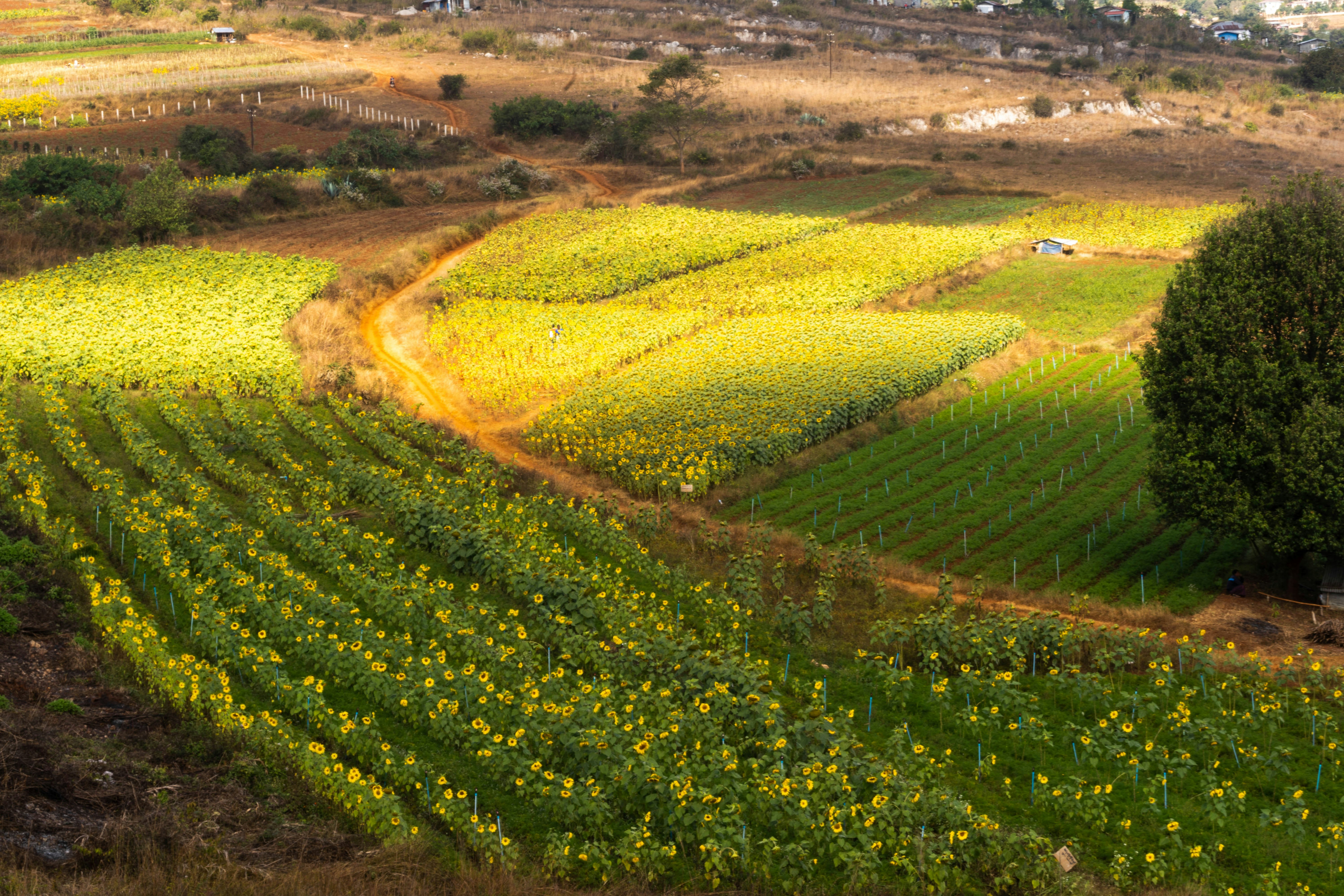 Photo by mrthetkhine