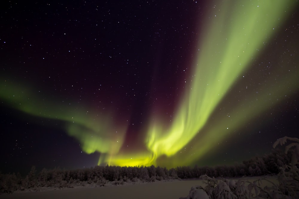 a green and yellow aurora bore in the night sky