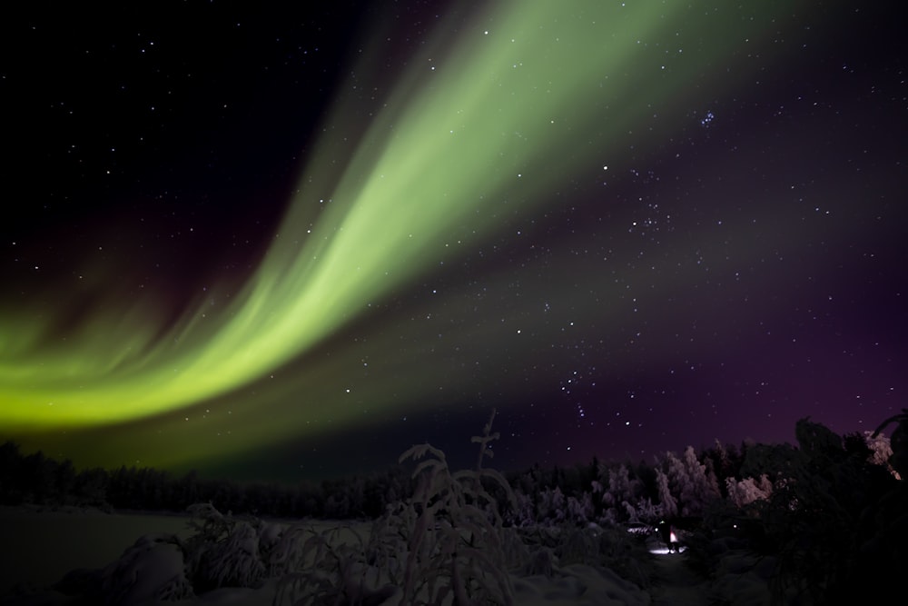 a green and purple aurora bore in the night sky