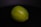 A single lime resting on a dark, possibly black, surface. The lime appears fresh with a smooth, glossy skin and a vibrant green color.