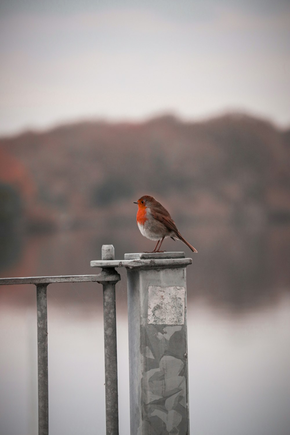 a small bird perched on top of a metal post