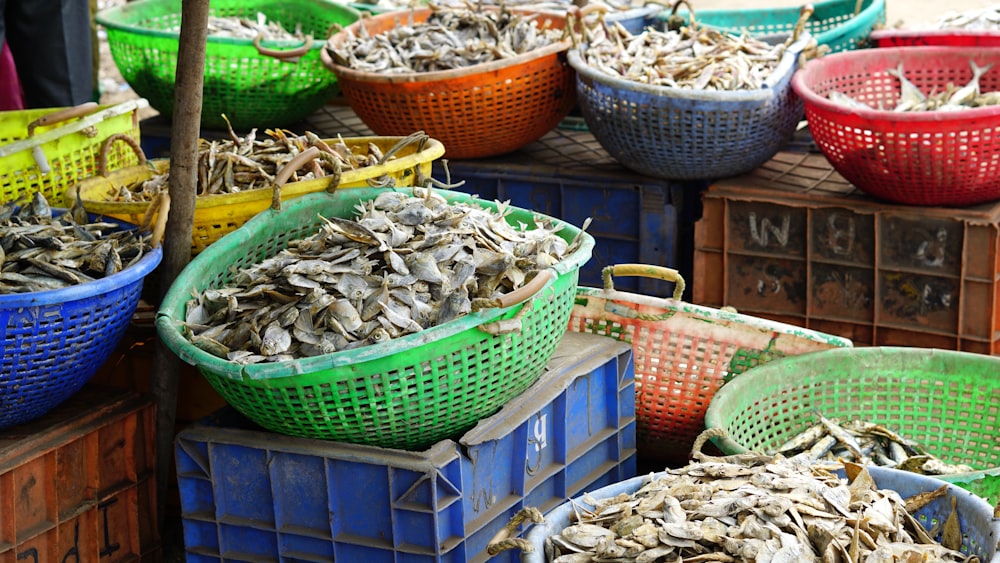 a bunch of buckets filled with lots of dried fish