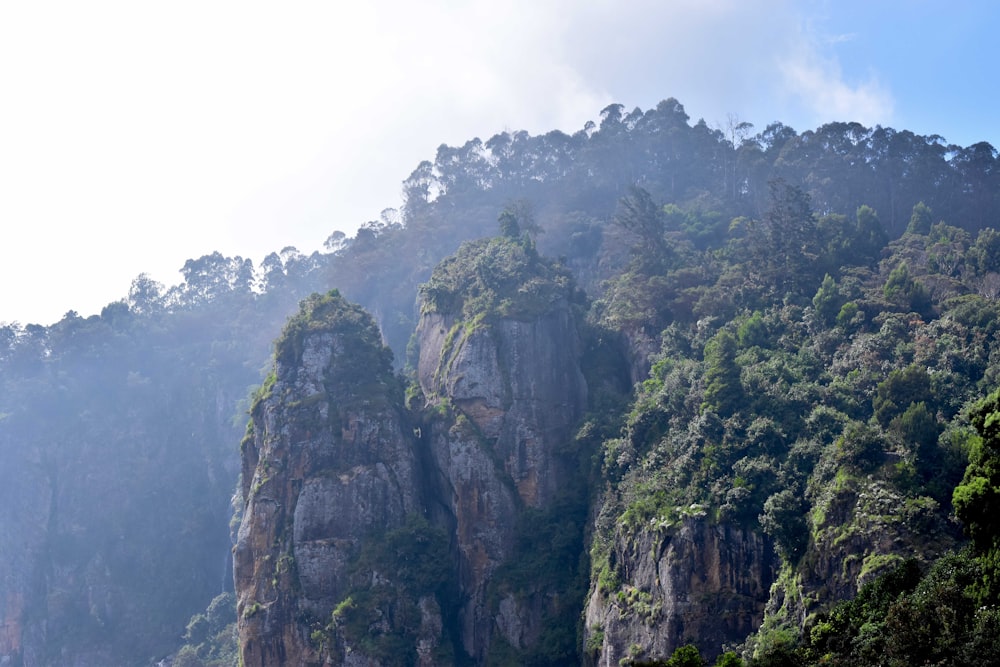 a group of mountains with trees on top of them