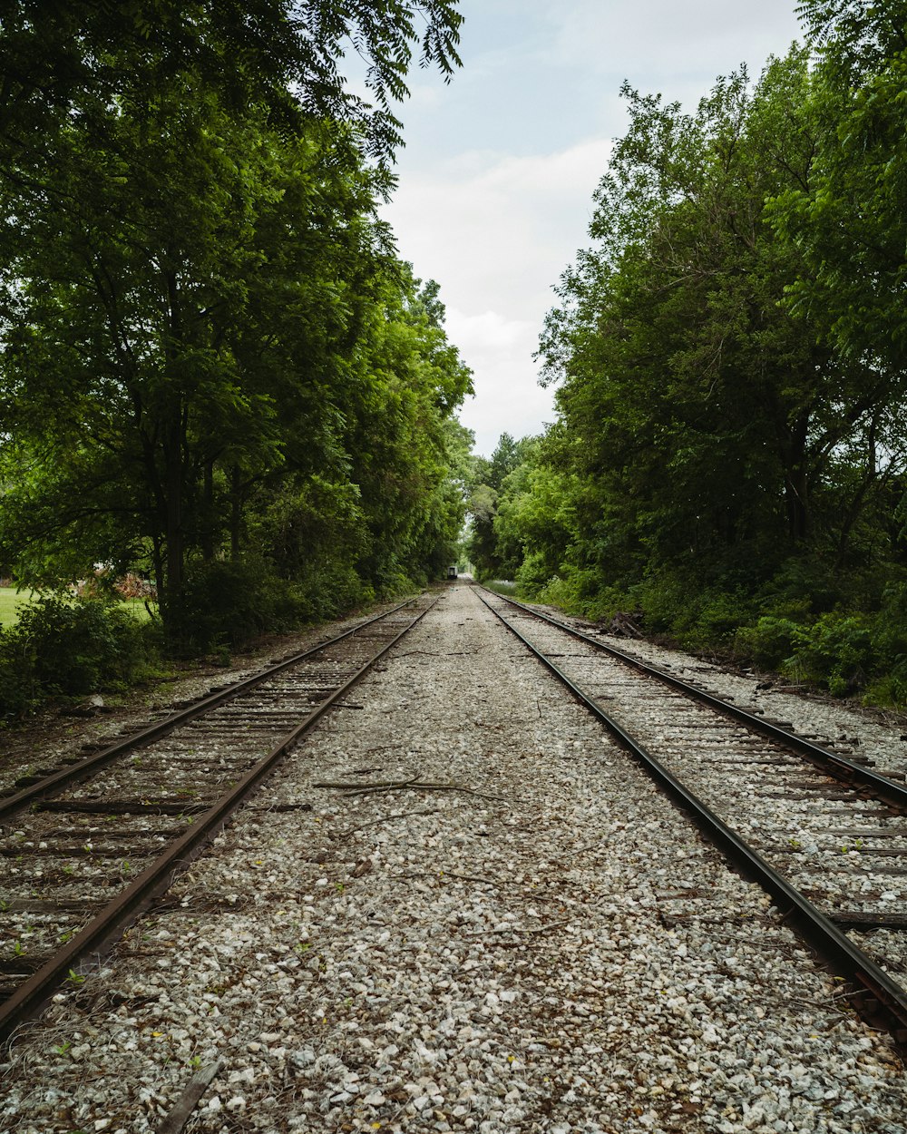 a train track with trees on both sides of it