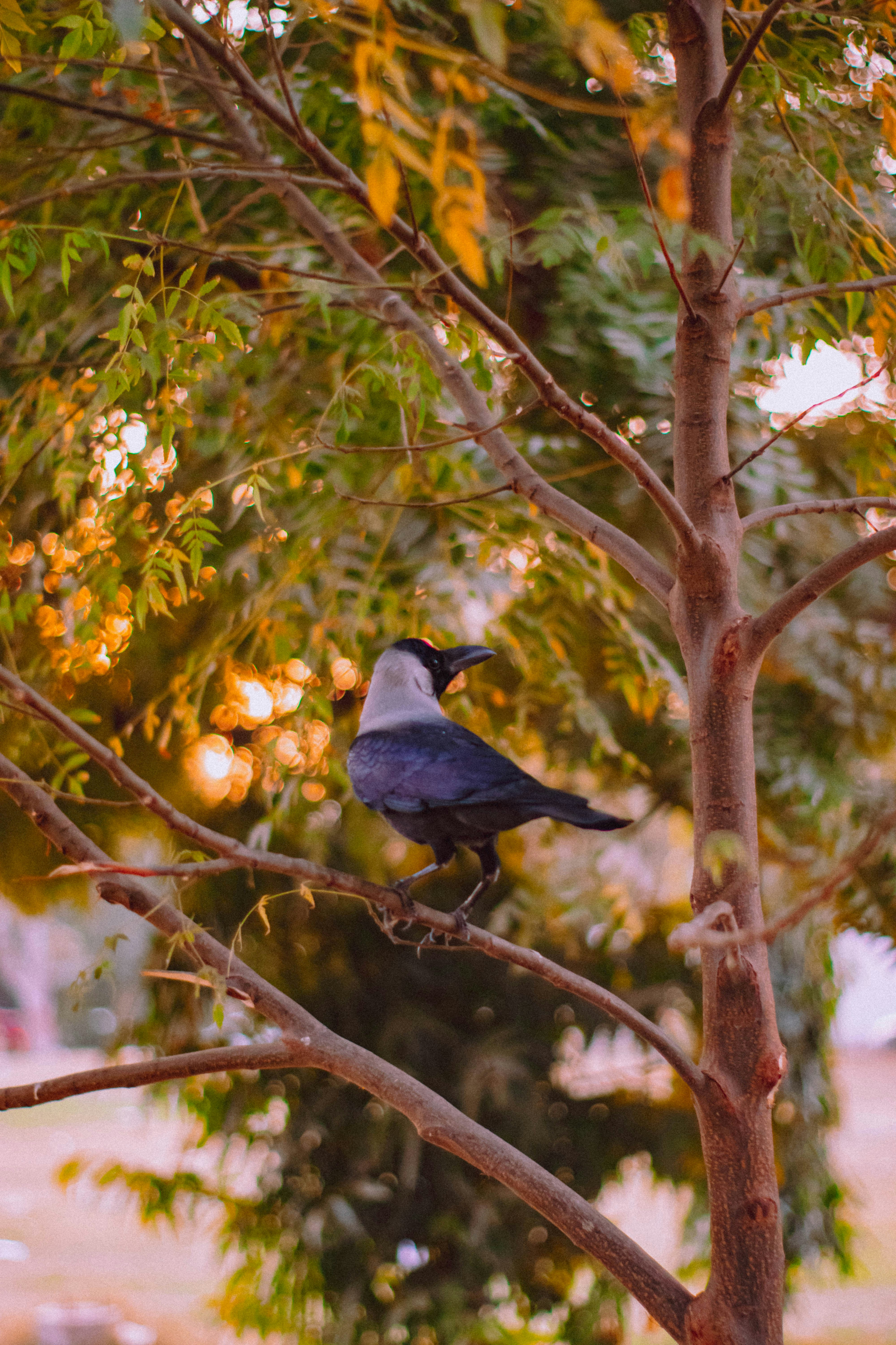 a small bird perched on a tree branch