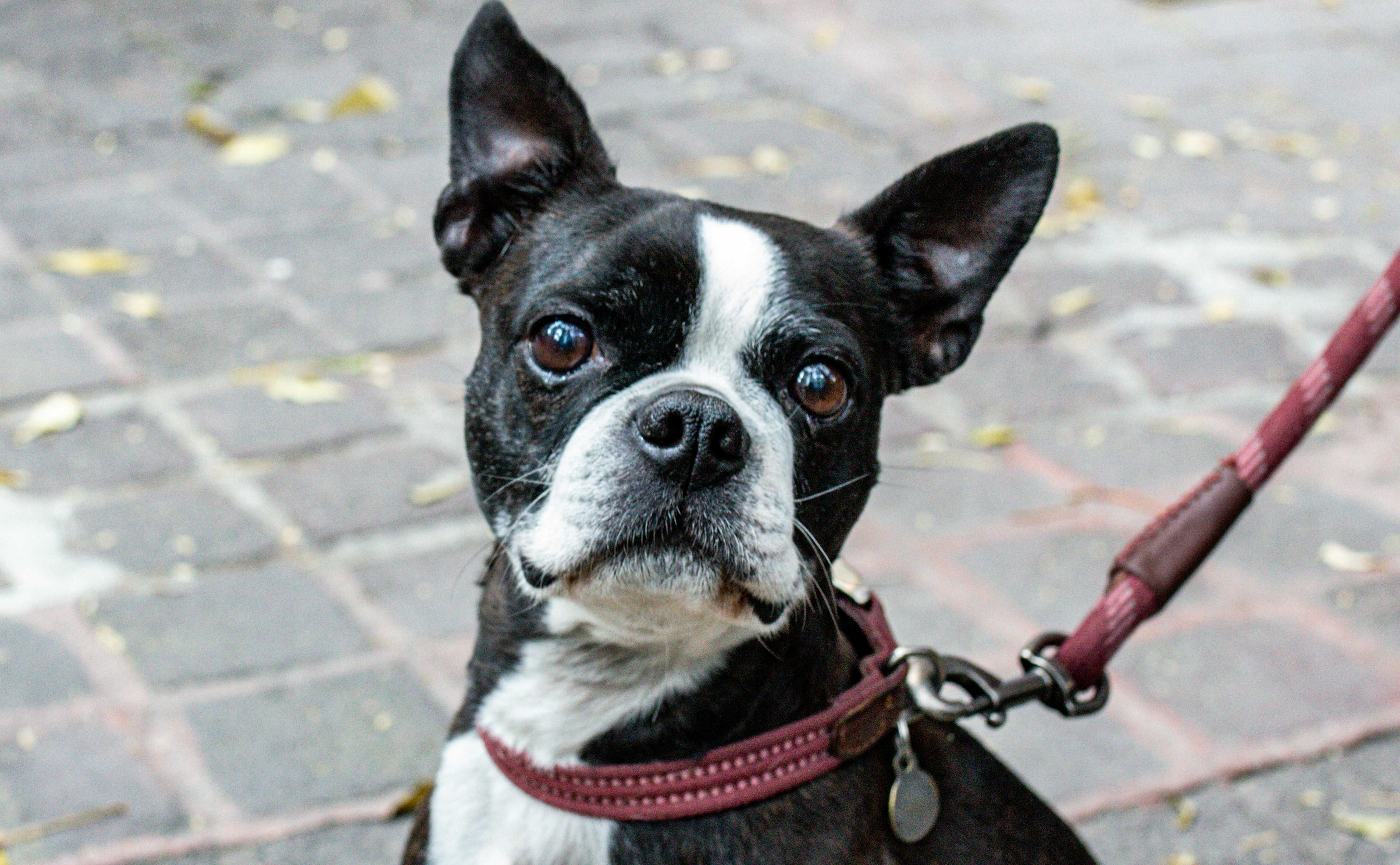 Photo by camaranegra