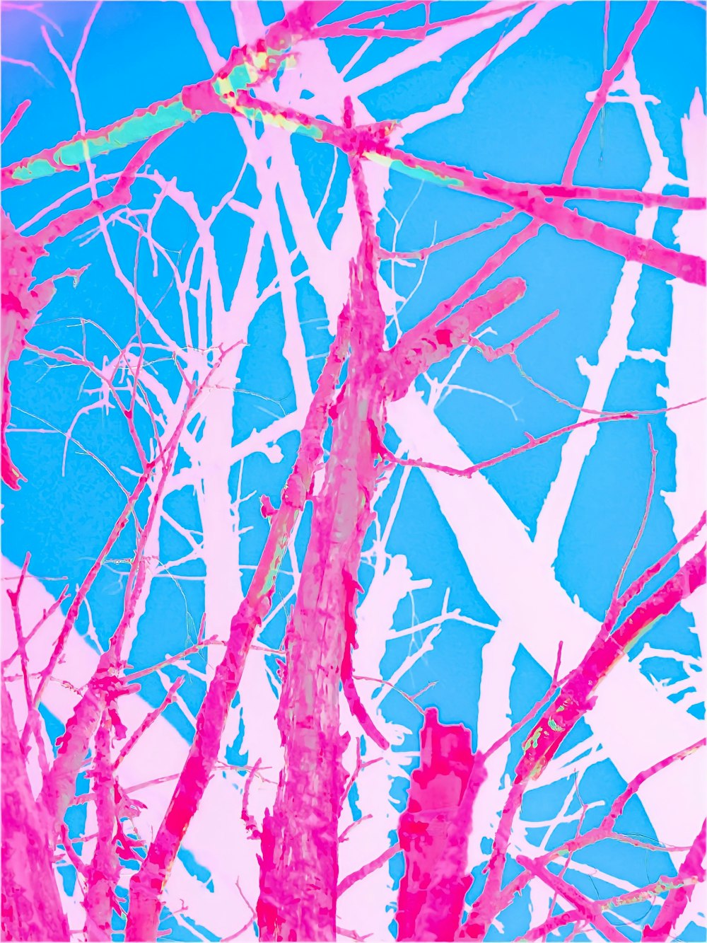 Ein Gemälde eines Baumes mit rosa Zweigen