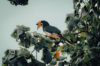 a bird perched on top of a tree branch