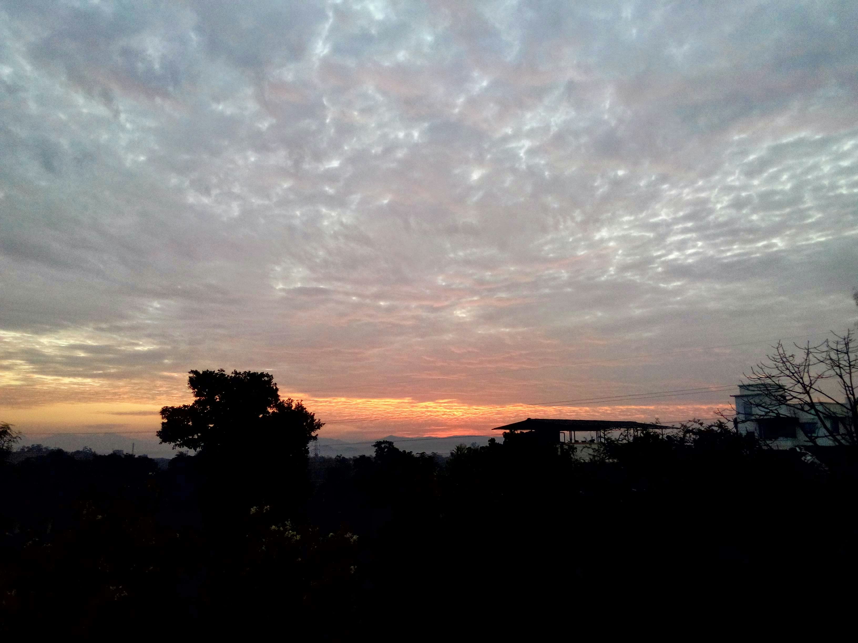 Photo by surajchand44