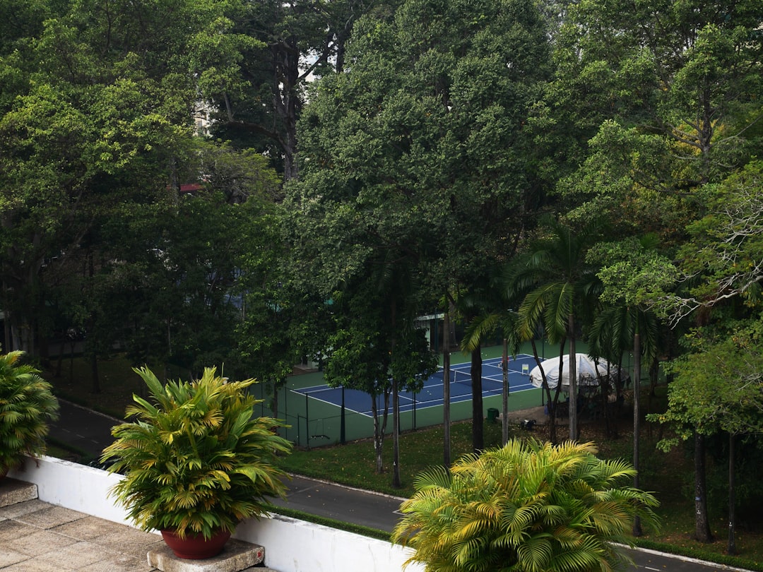 a tennis court surrounded by trees and bushes,