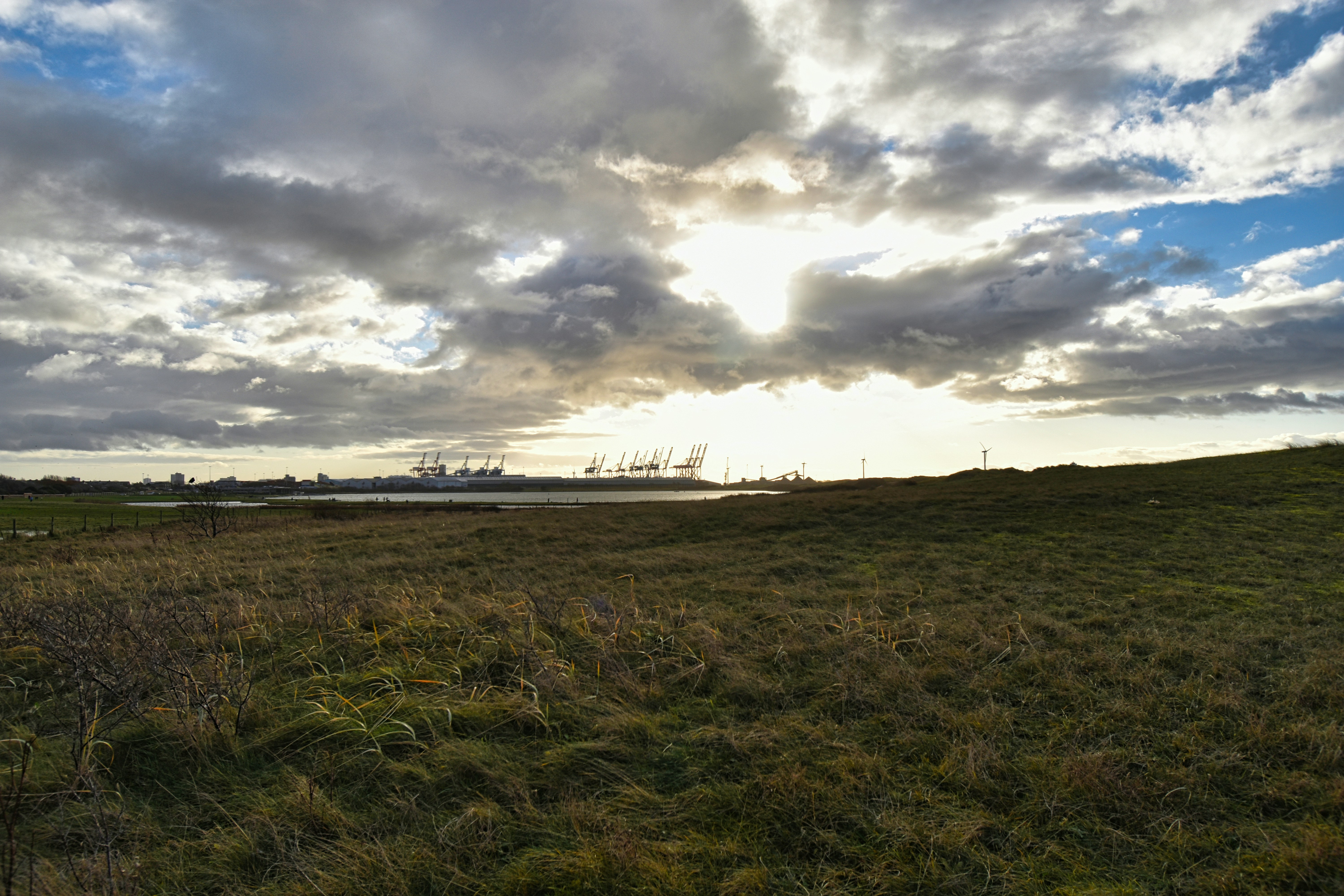 Photo by andrew_hall