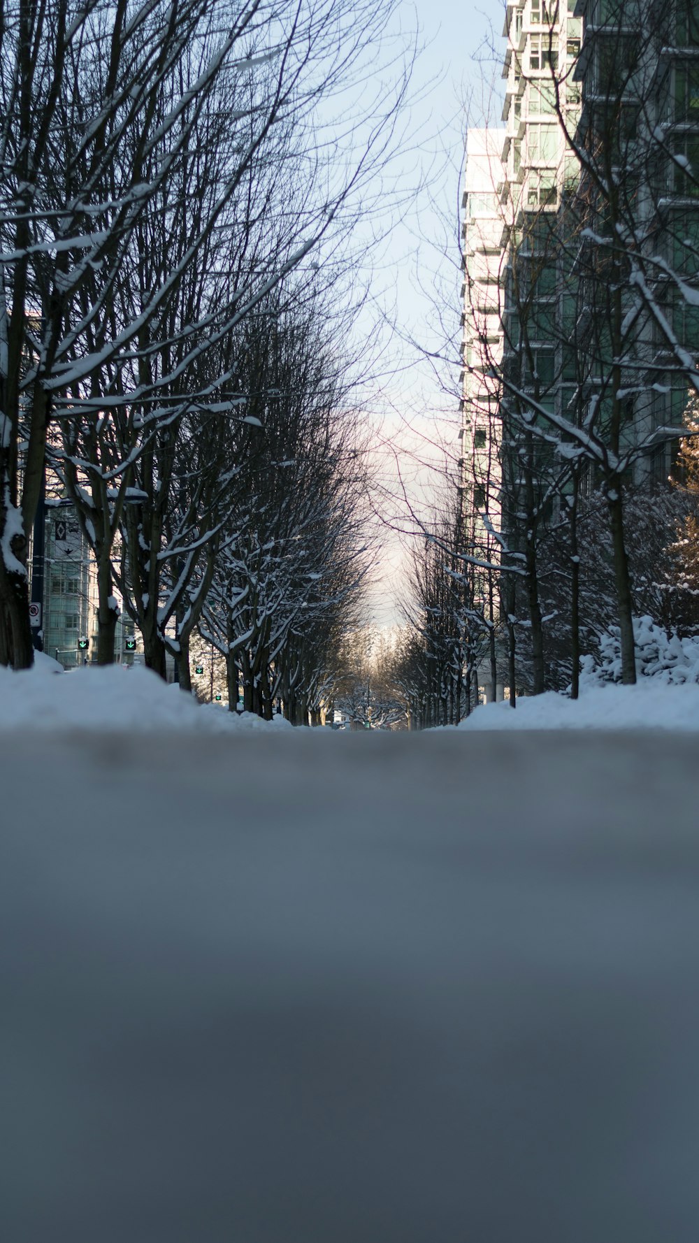 Una calle nevada bordeada de edificios altos y árboles