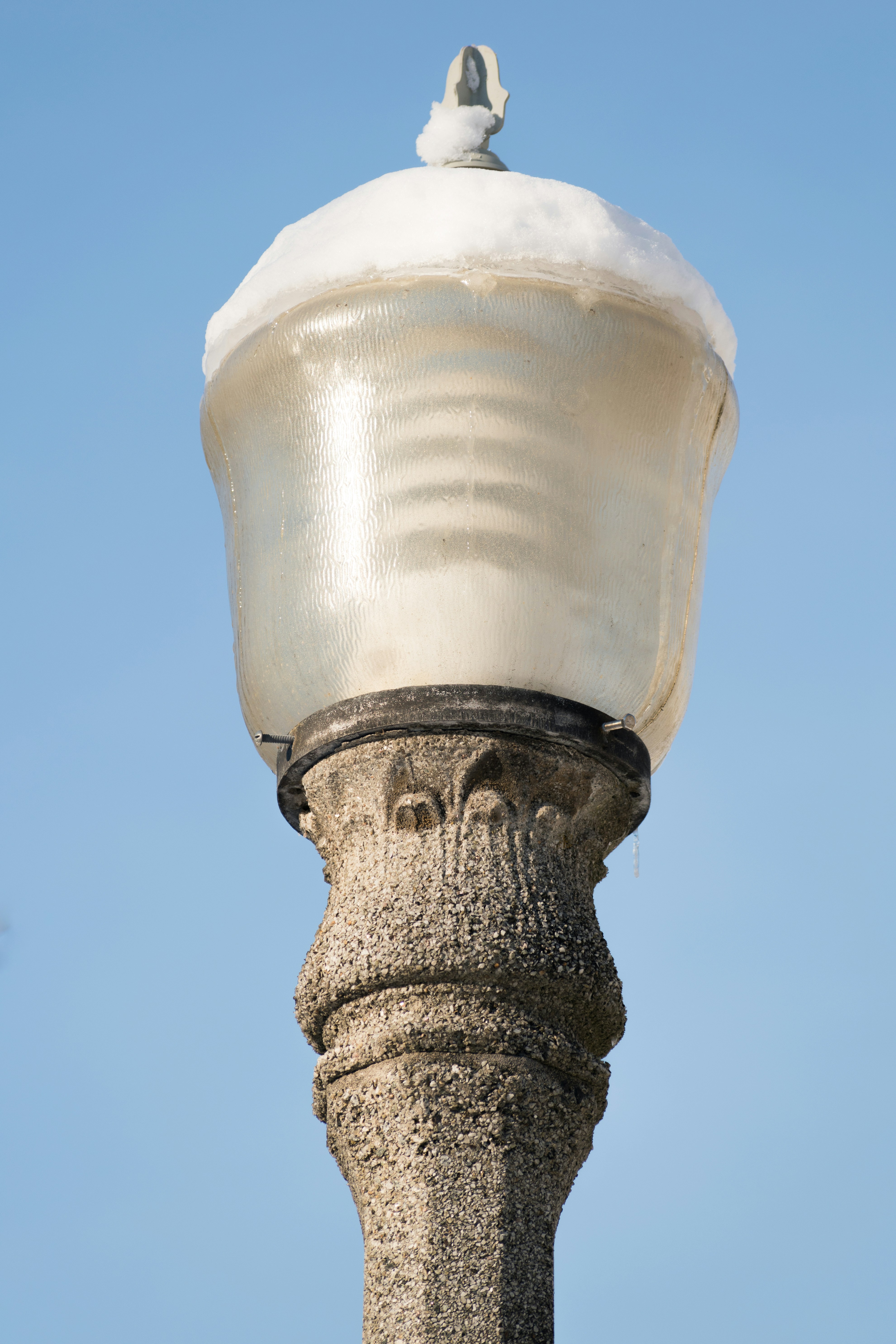 Un pájaro se posa en la parte superior de un poste de luz