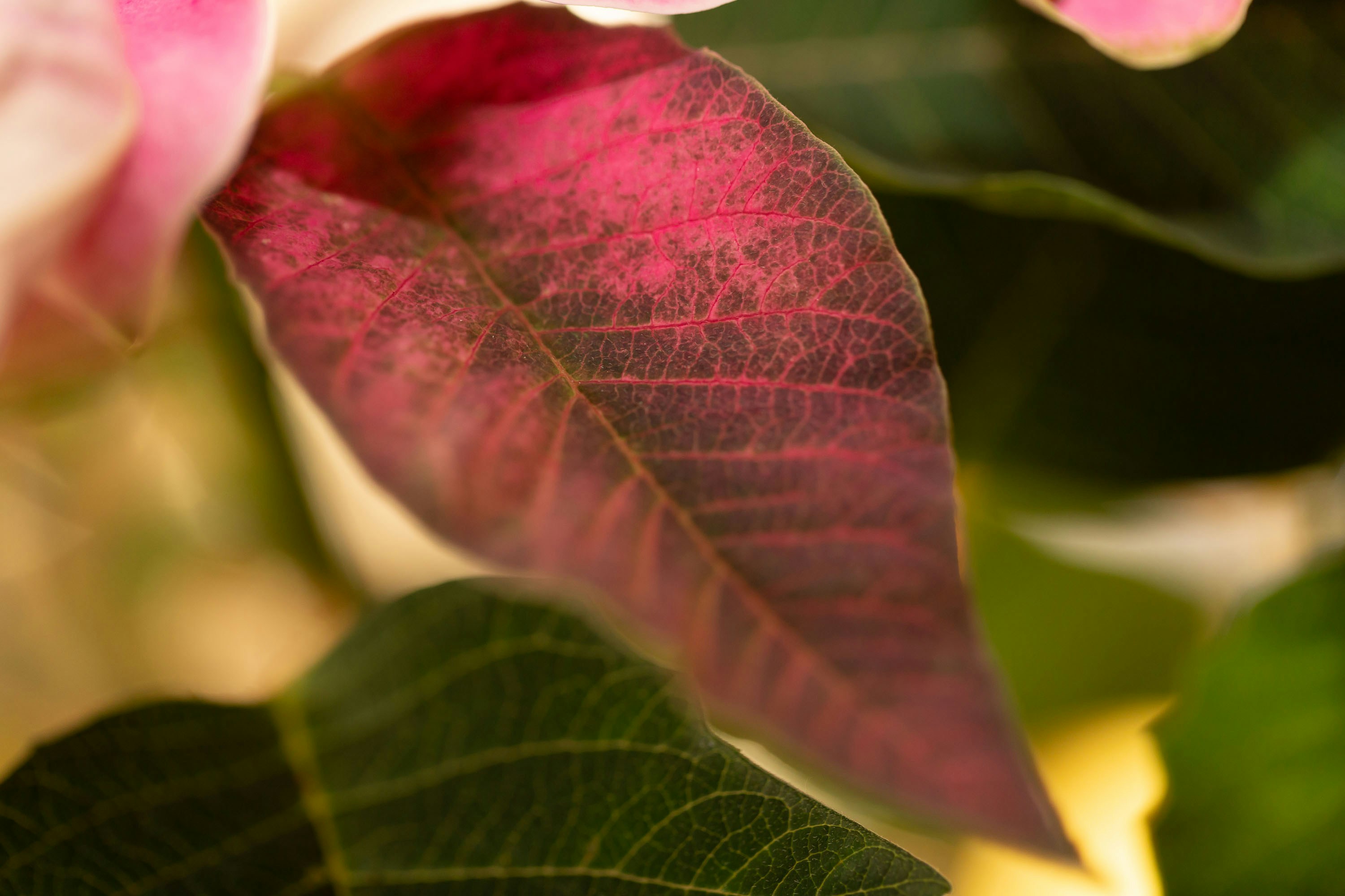 Photo by itscakefortea