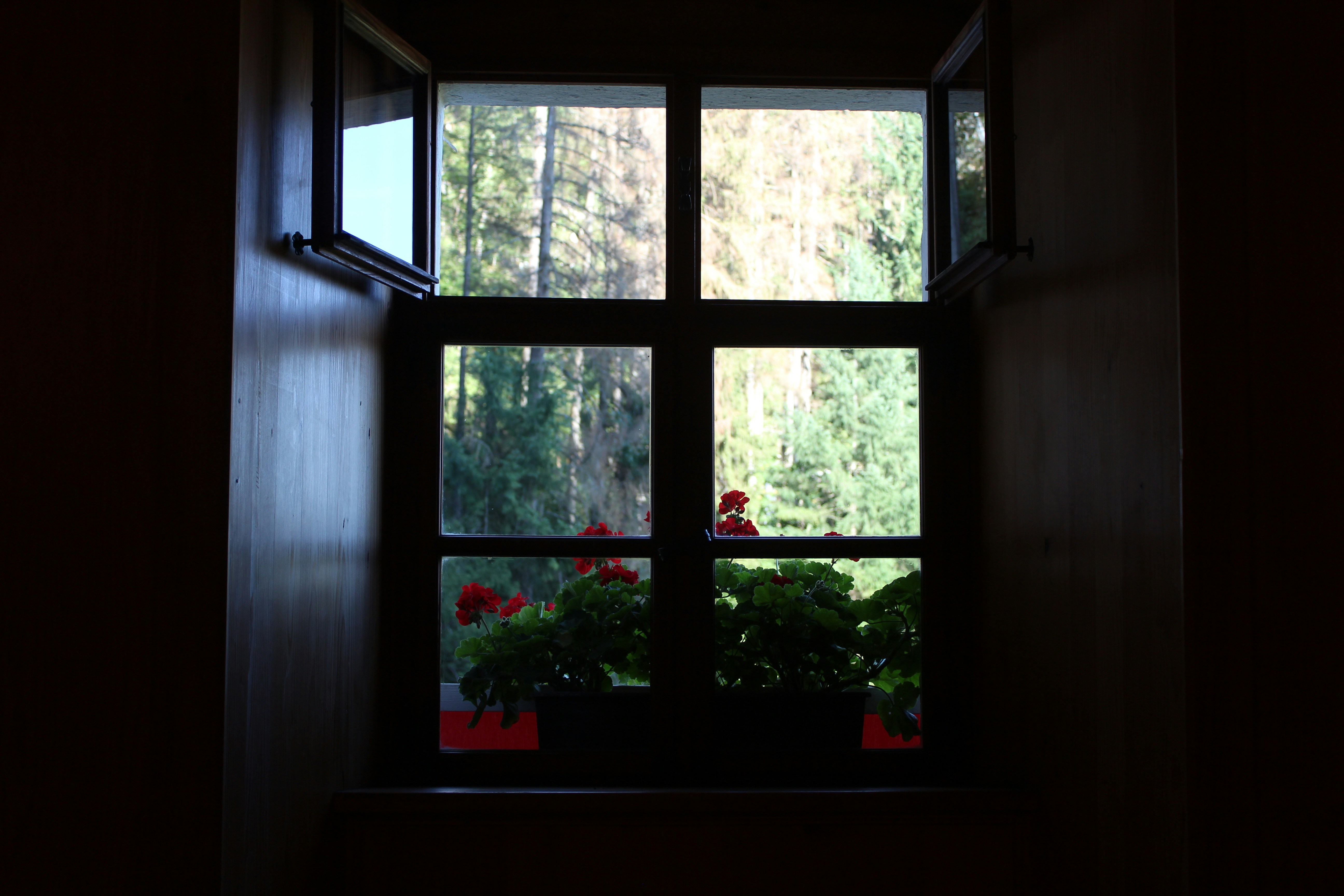 Photo by haggaidavid